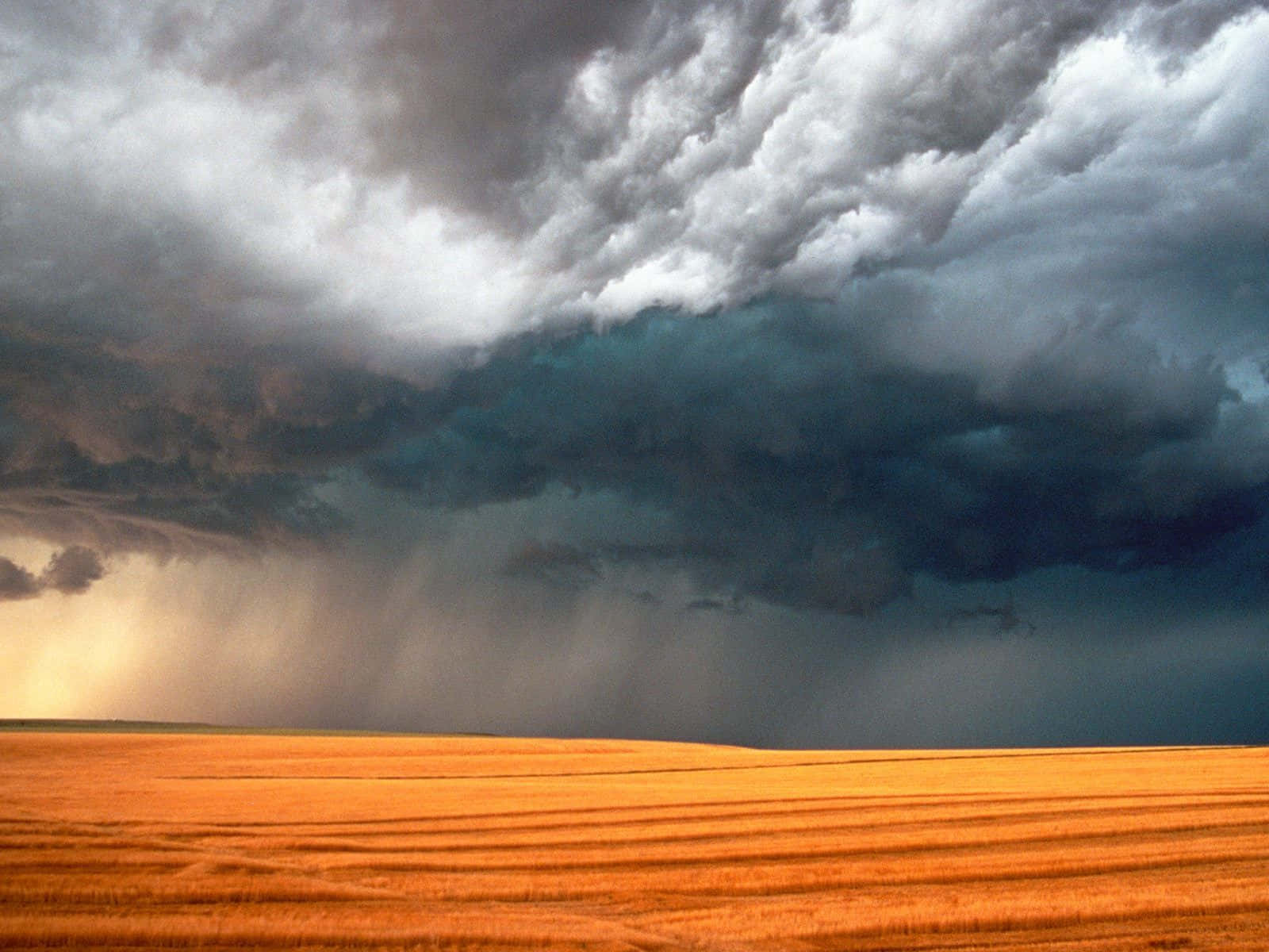 Spring Weather, golden field, dramatic sky, HD Desktop Wallpaper