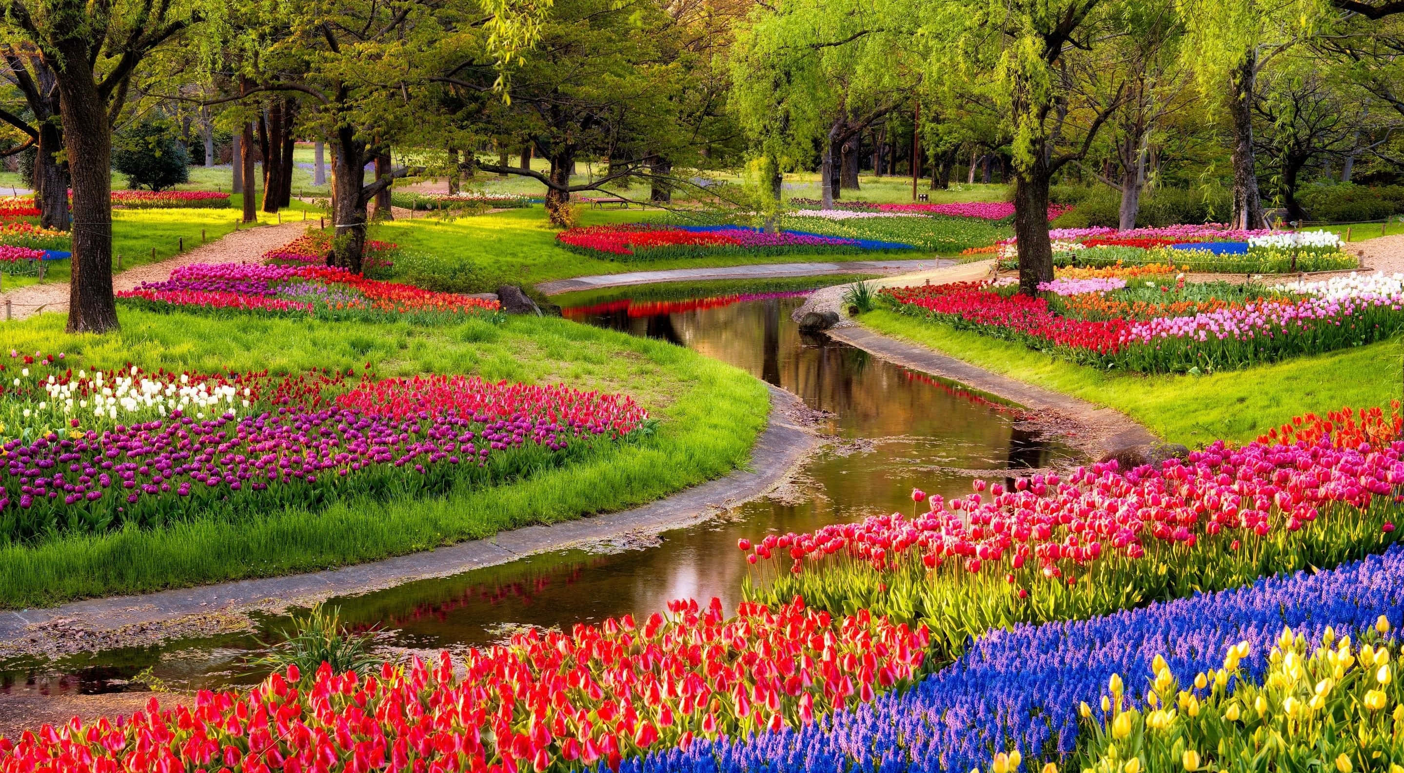Spring Weather, red, pink, 2K Desktop Wallpaper