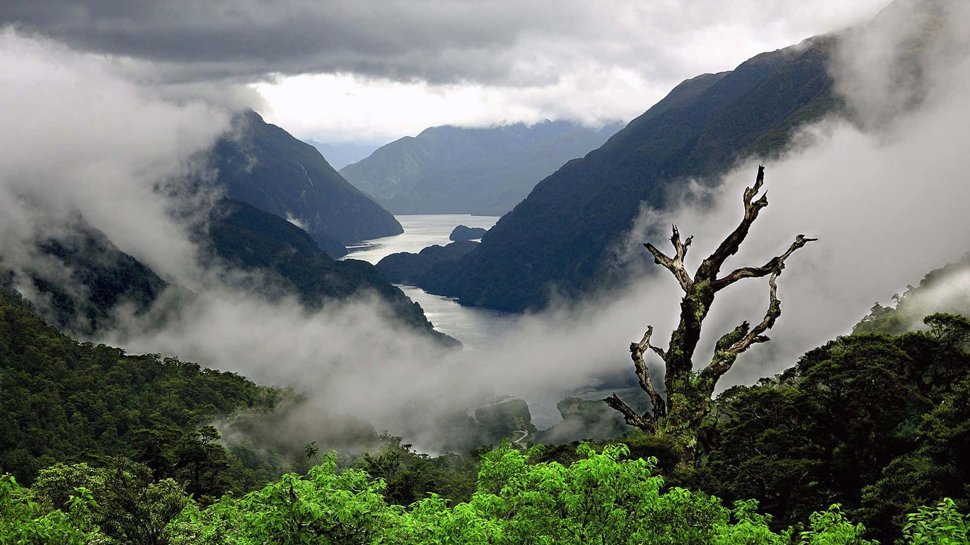 spring weather, misty valley, winding fjord, Full HD Desktop Wallpaper