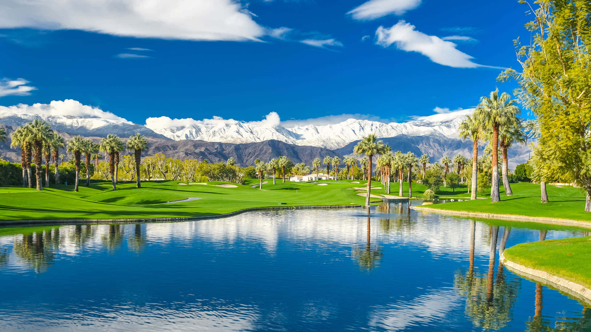 Spring Weather, golf course, palm trees, Full HD Desktop Wallpaper