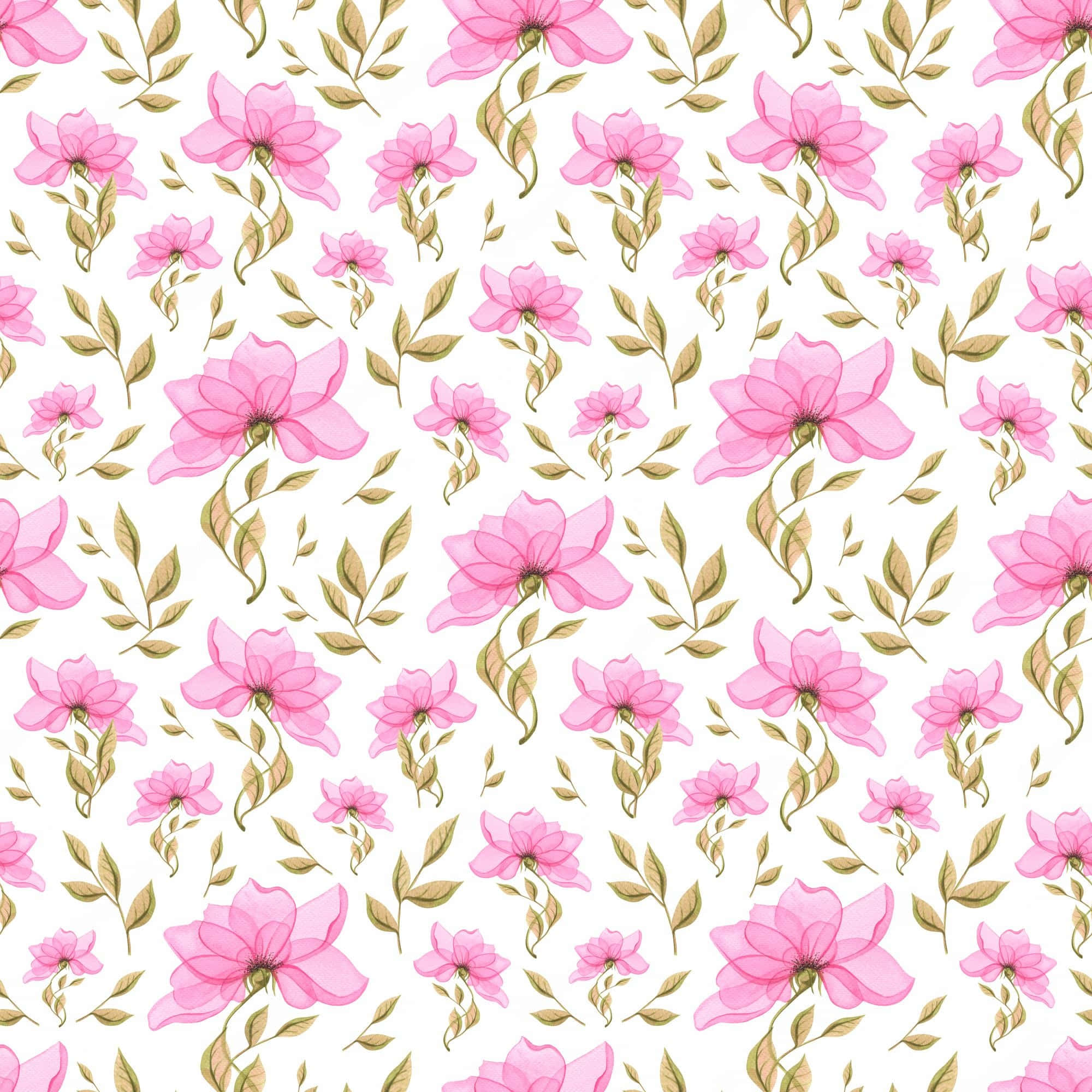 pink flowers, green leaves, white background, Full HD Desktop Wallpaper