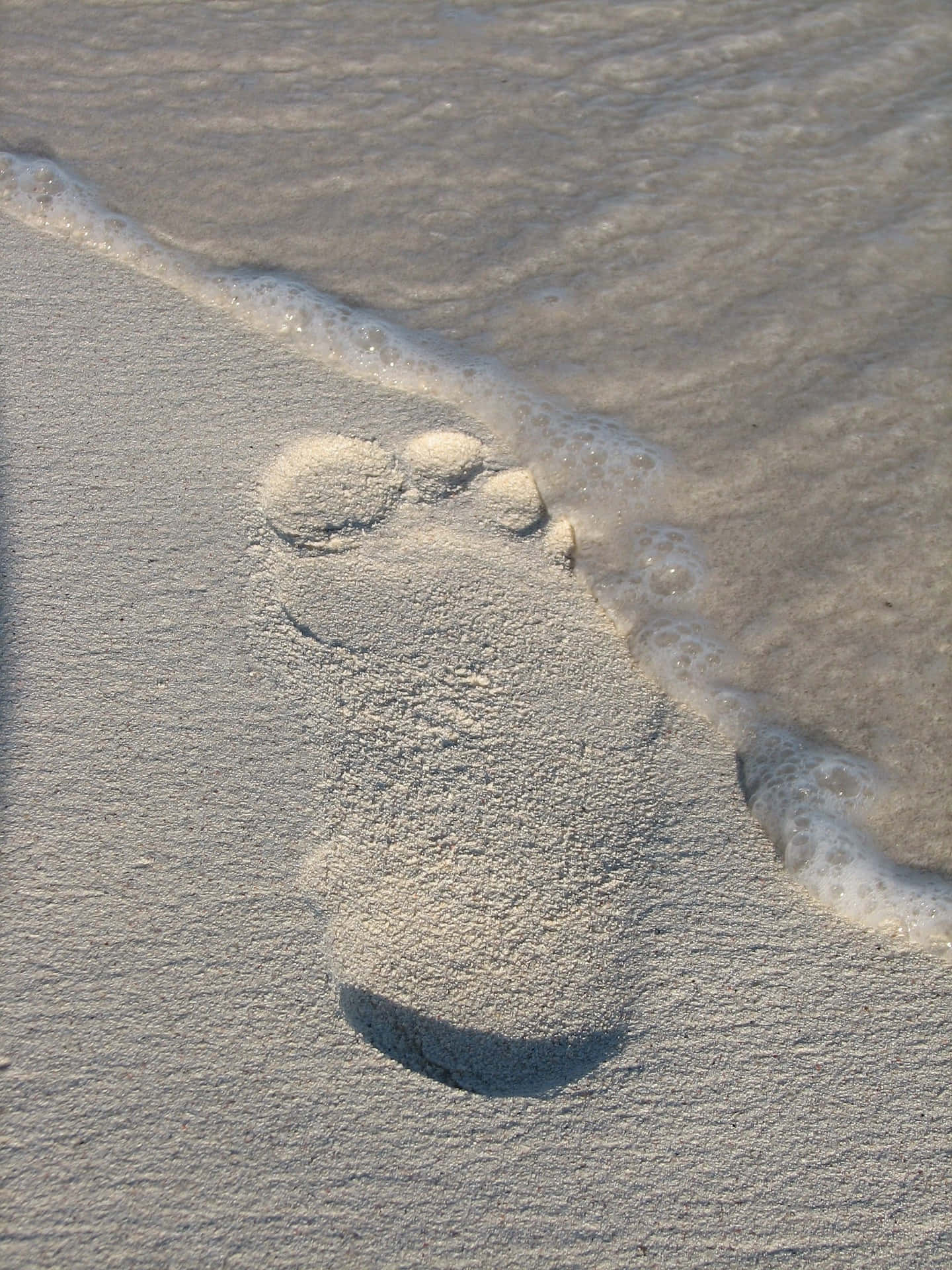blooming spring transition, barefoot print, wet sand, Full HD Phone Wallpaper