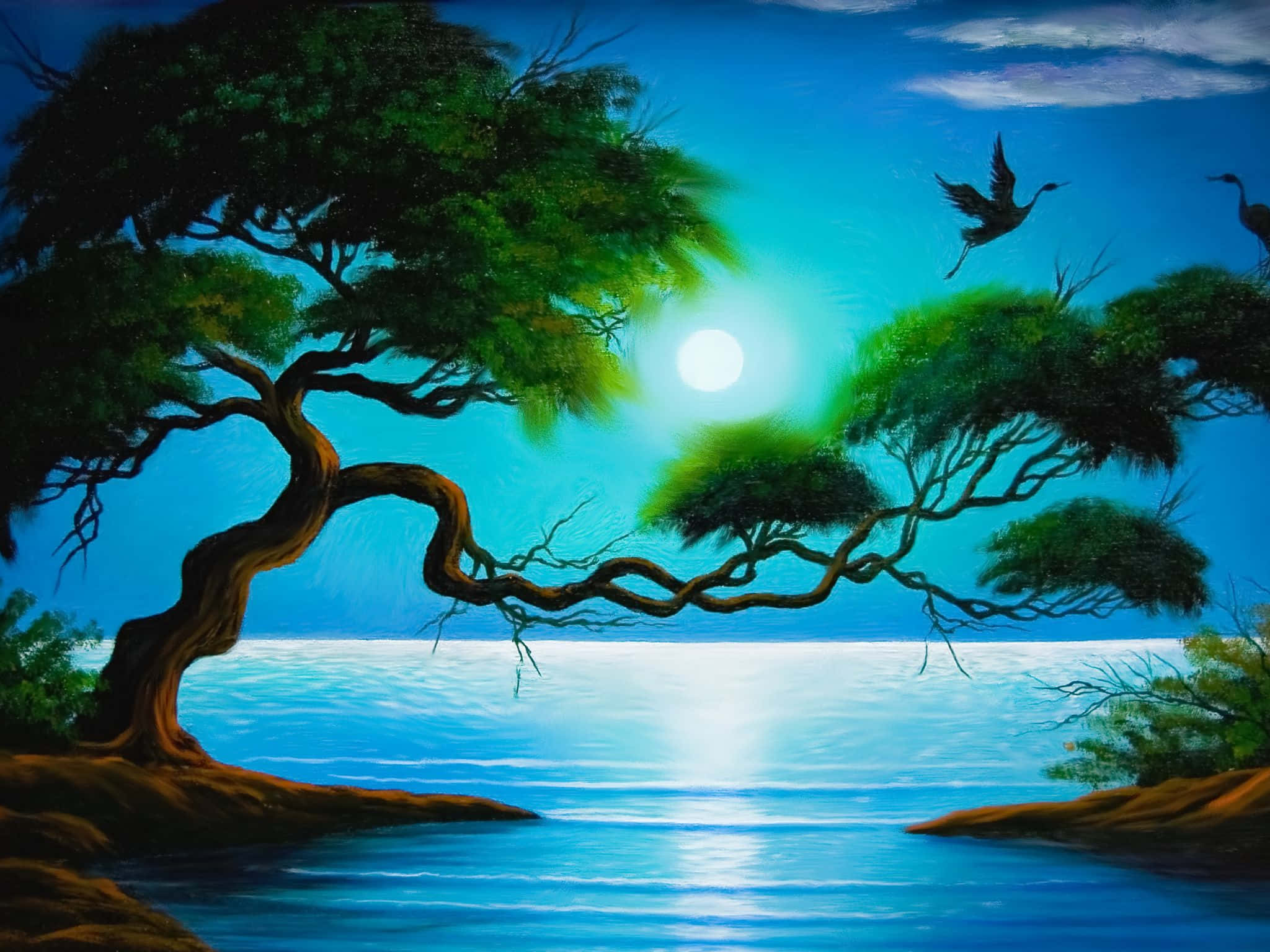 moonlit scene, twisted trees, glowing moon, Full HD Desktop Wallpaper