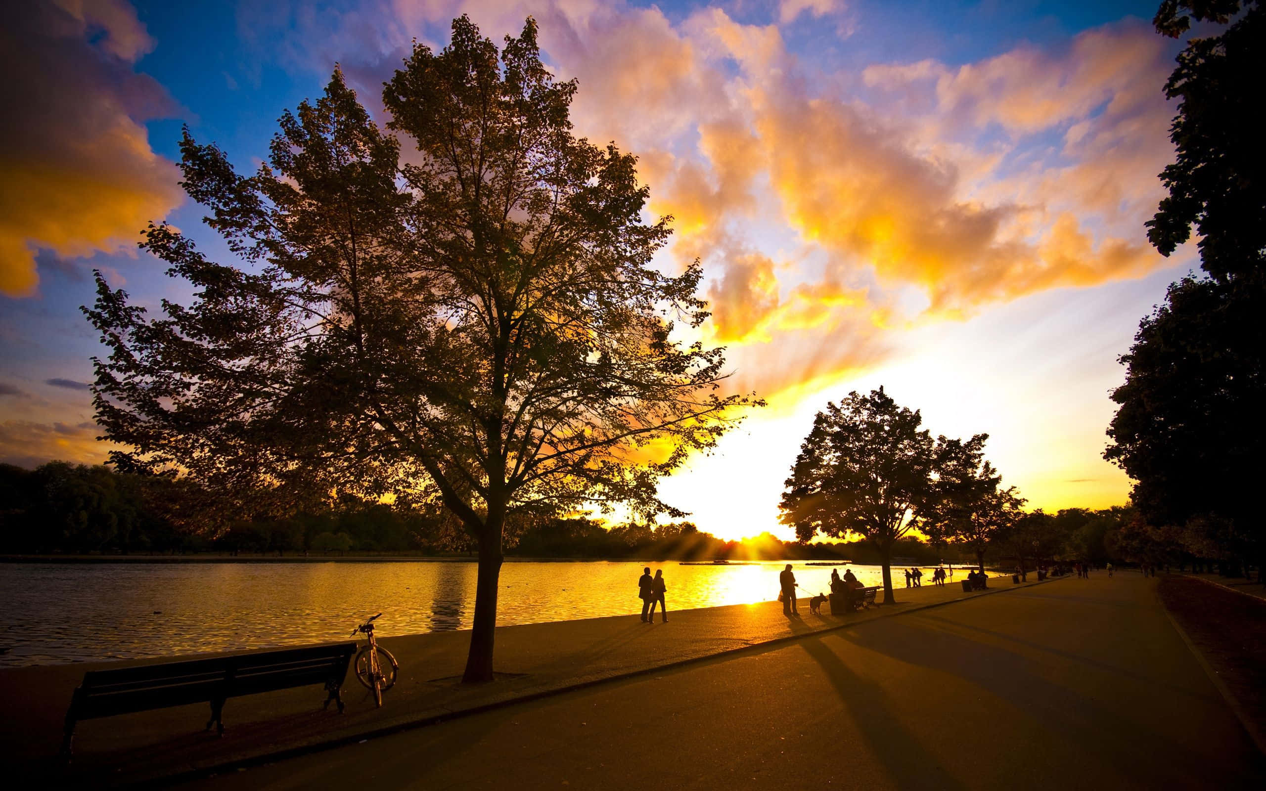 Spring Weather, lakeside path, silhouetted trees, 2K Desktop Wallpaper