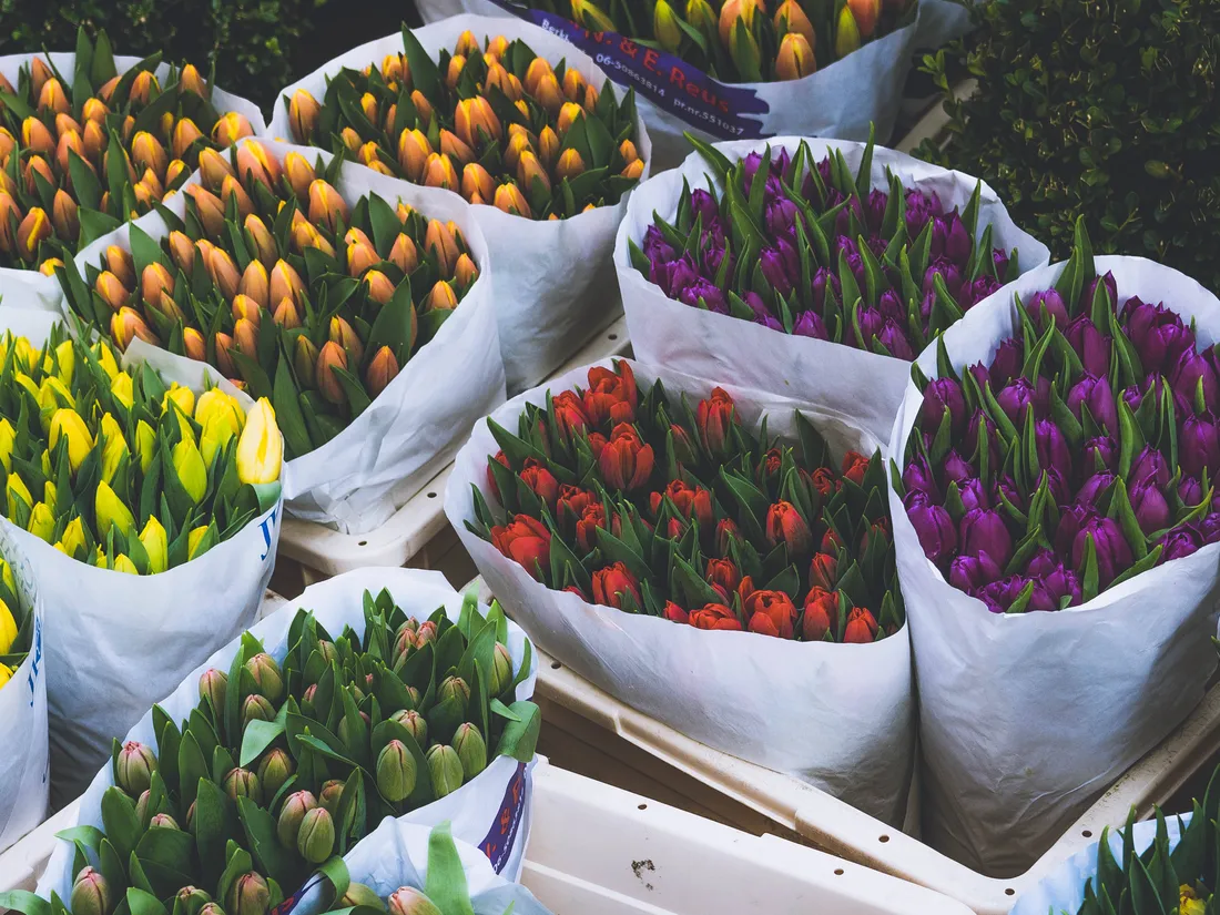 Spring Wreaths
