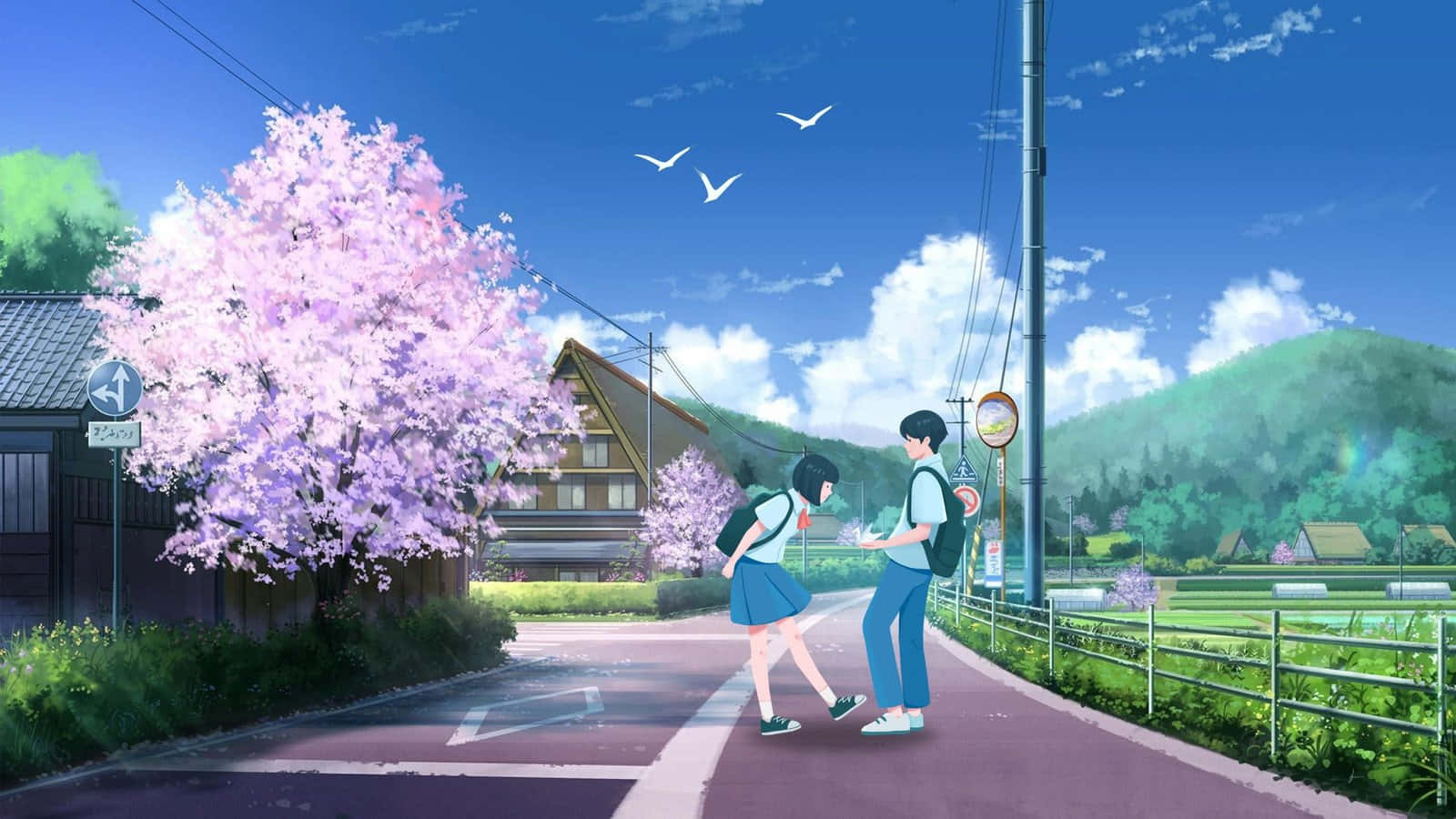 anime, springtime, cherry blossom tree, HD Desktop Wallpaper