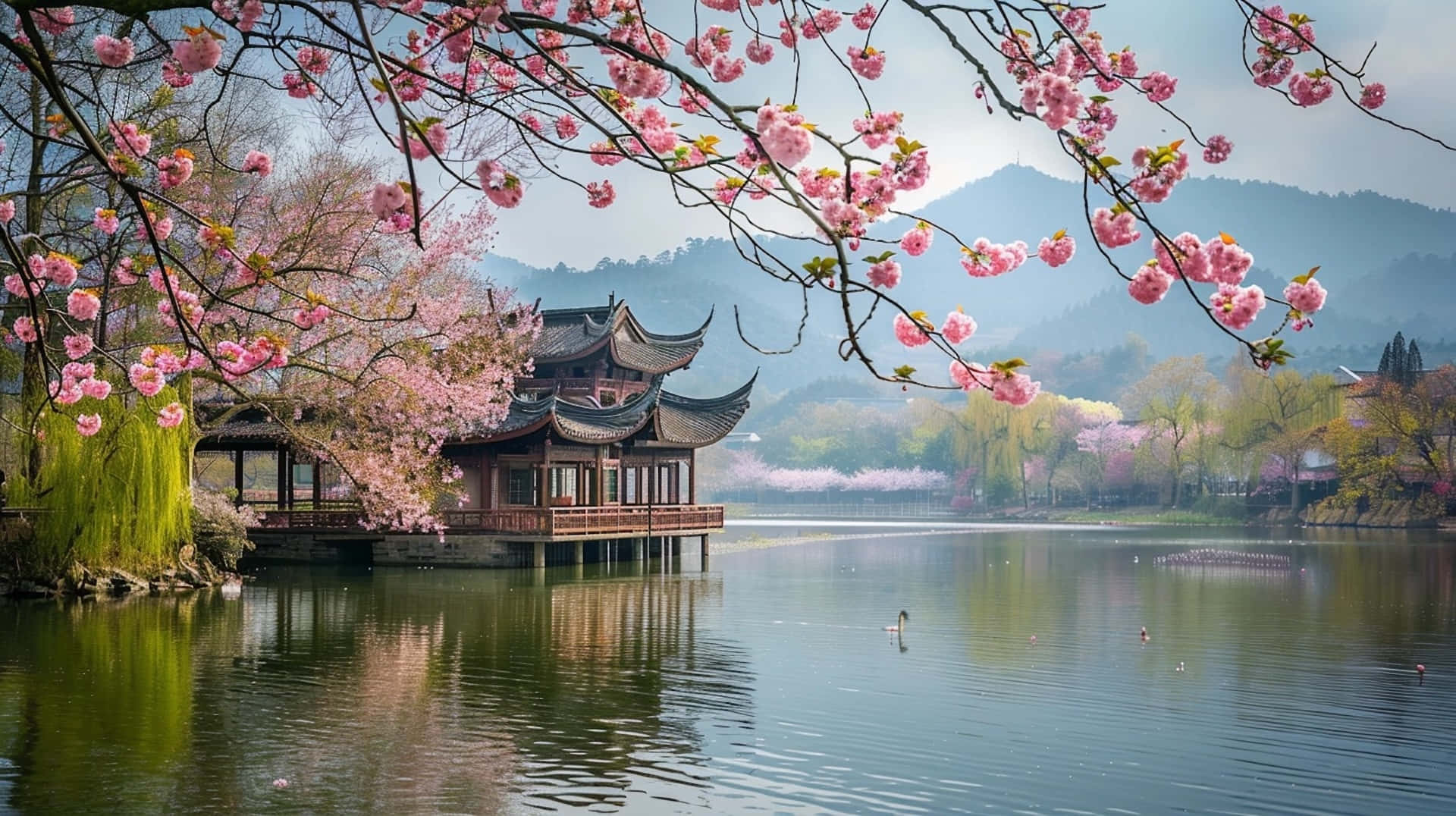 springtime blossoms, lake, pink cherry blossoms, Full HD Desktop Wallpaper