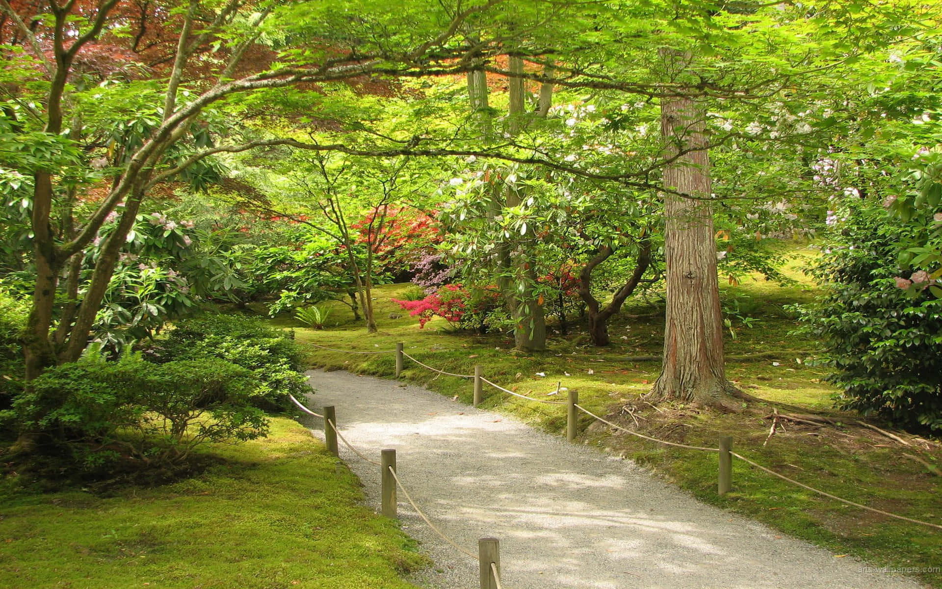Japanese garden, gravel path, vibrant trees, Full HD Desktop Wallpaper