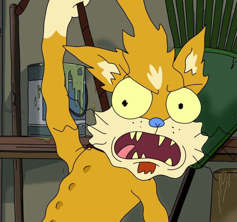 Squanchy, orange cartoon cat, wide eyes, SD Desktop Wallpaper