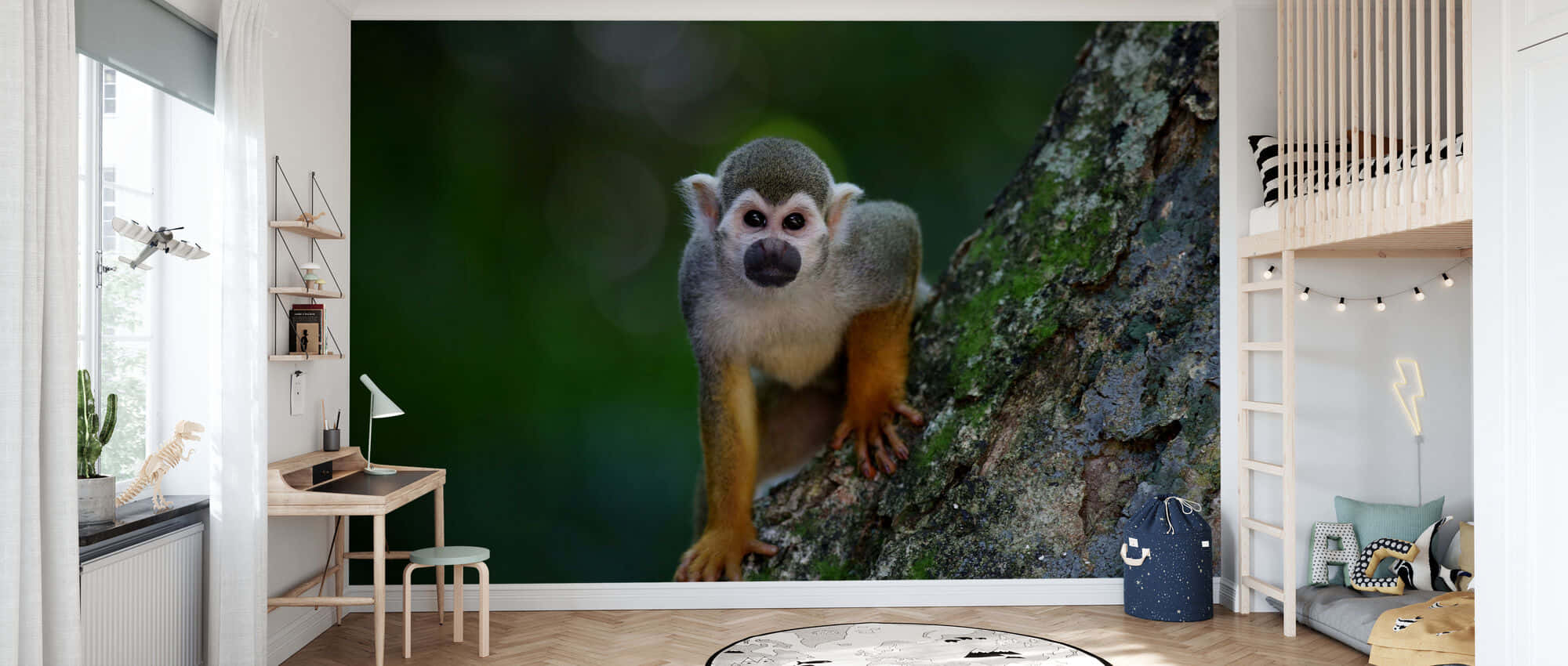 squirrel monkey, mossy tree trunk, blurred green forest background, Full HD Desktop Wallpaper
