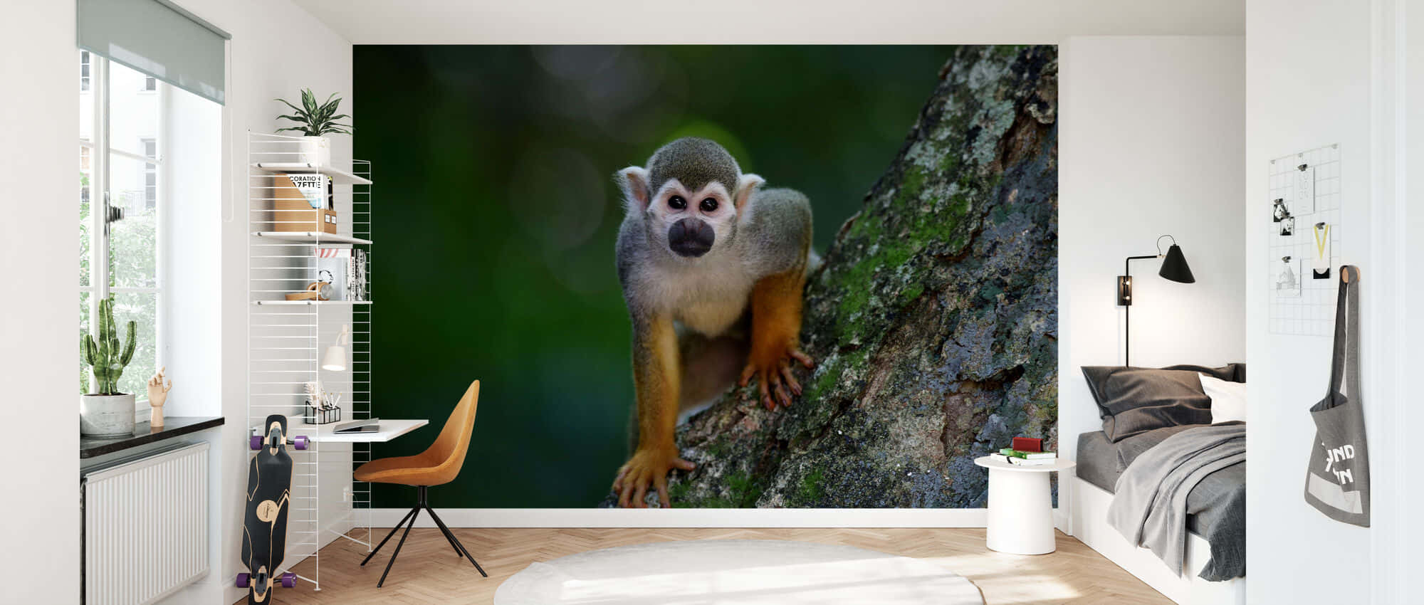 squirrel monkey, gray fur, orange limbs, Full HD Desktop Wallpaper