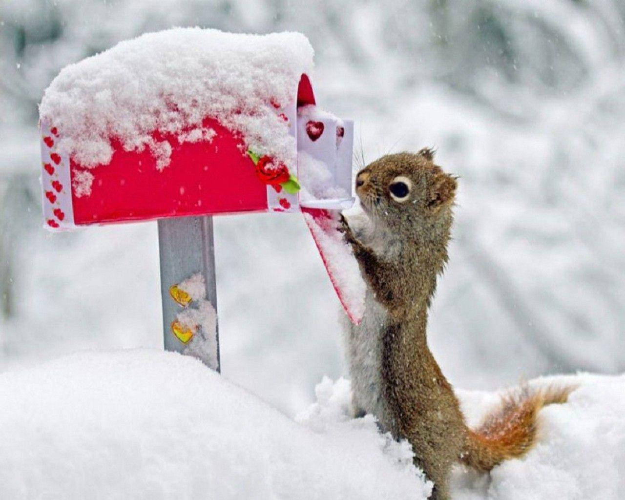 red mailbox, hearts, snow-covered, HD Desktop Wallpaper