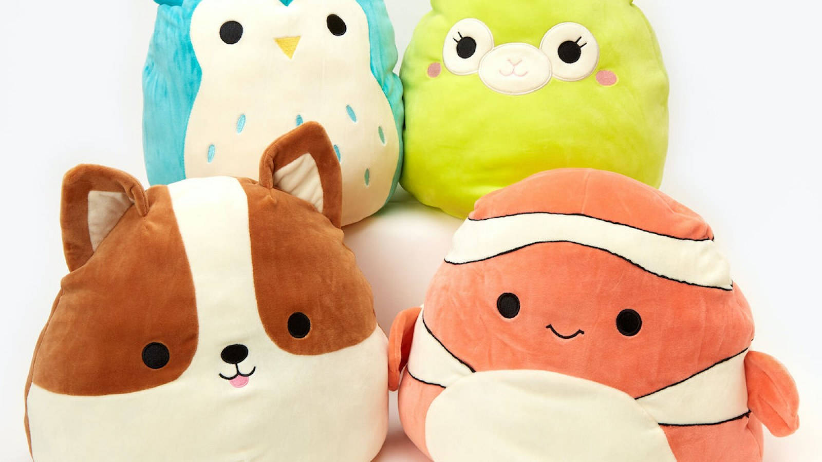 Squishmallows, dog, owl, HD Desktop Wallpaper