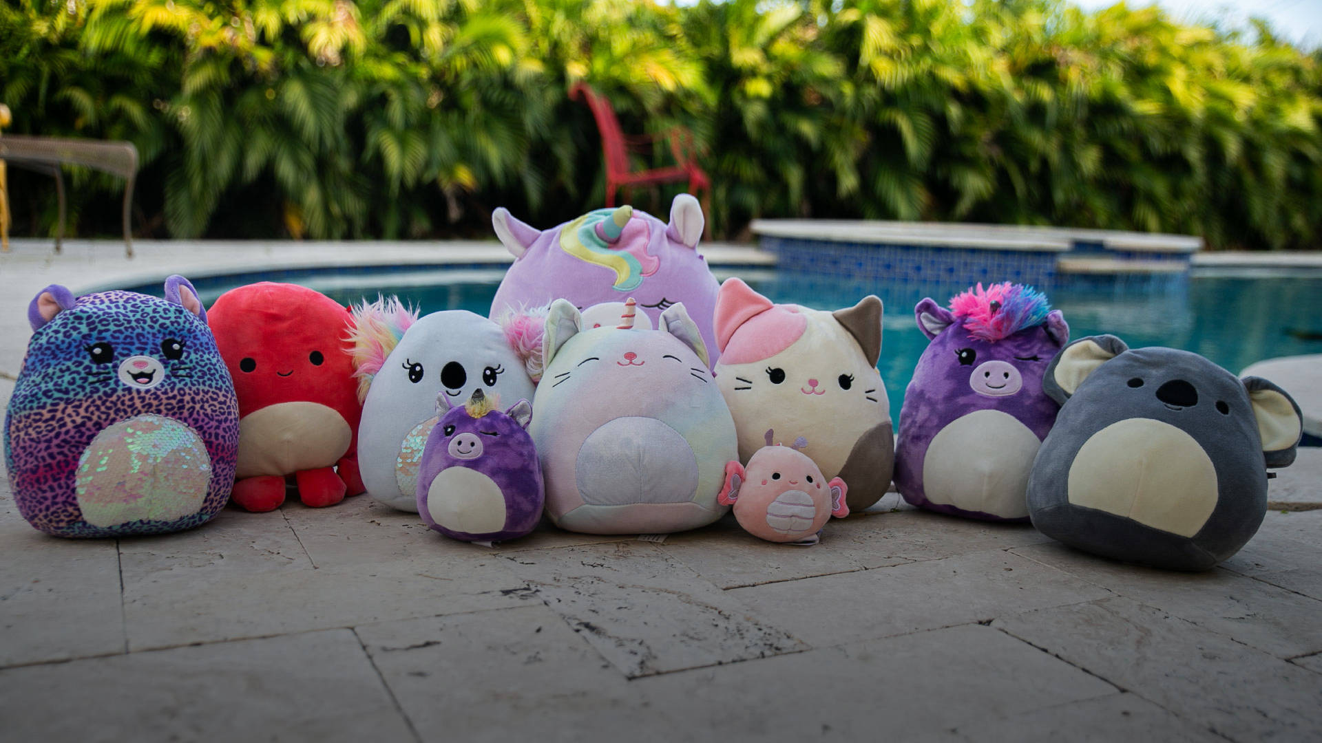 Squishmallows, poolside patio, lush greenery, Full HD Desktop Wallpaper