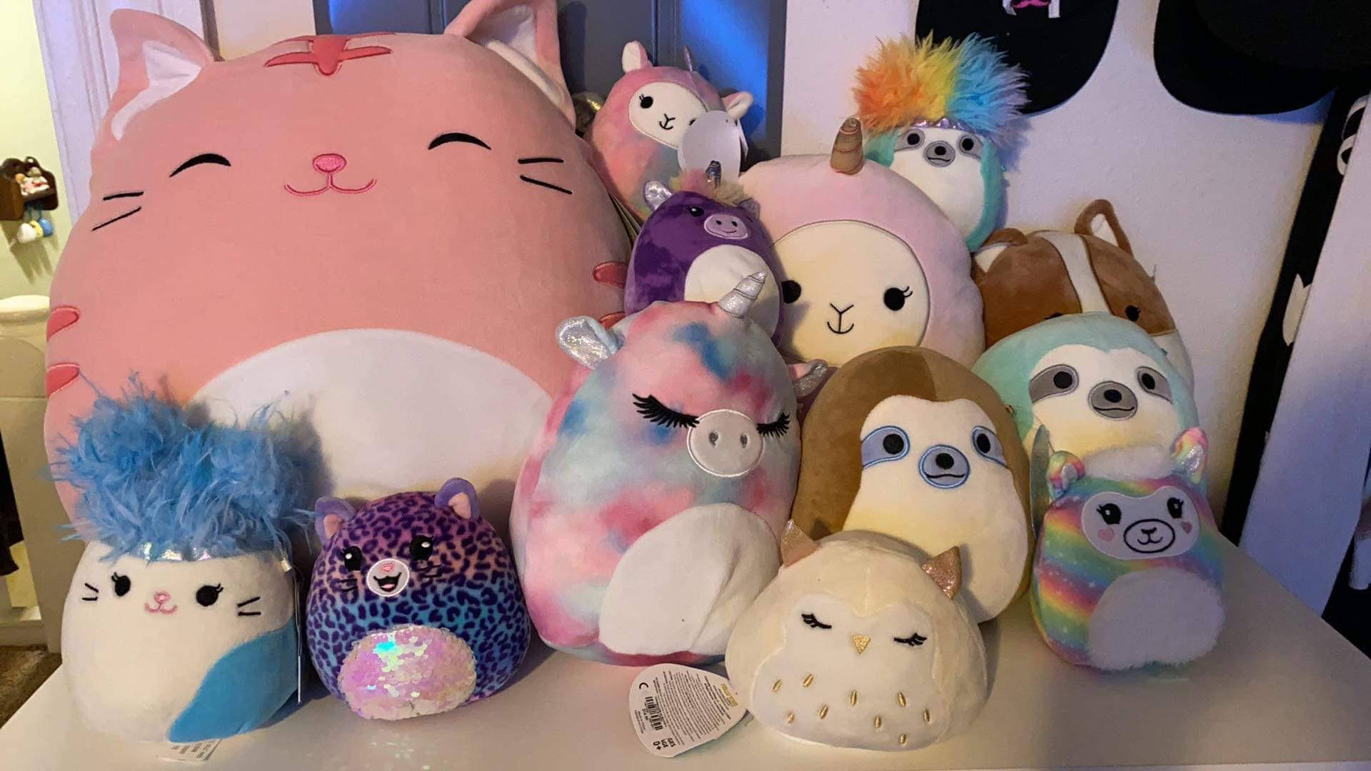 Squishmallows, toys collection, oversized plush toys, Full HD Desktop Wallpaper