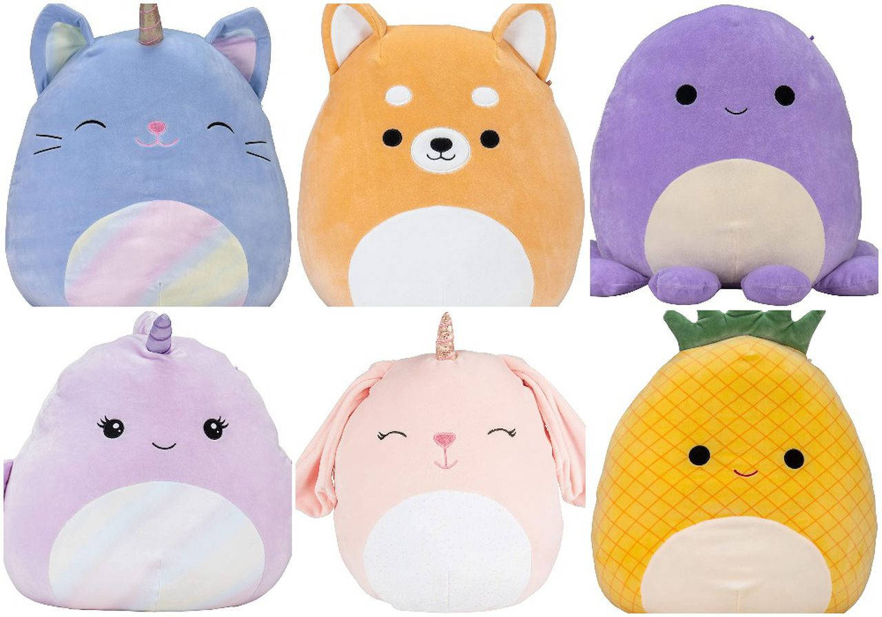 Squishmallows, cat, dog, HD Desktop Wallpaper