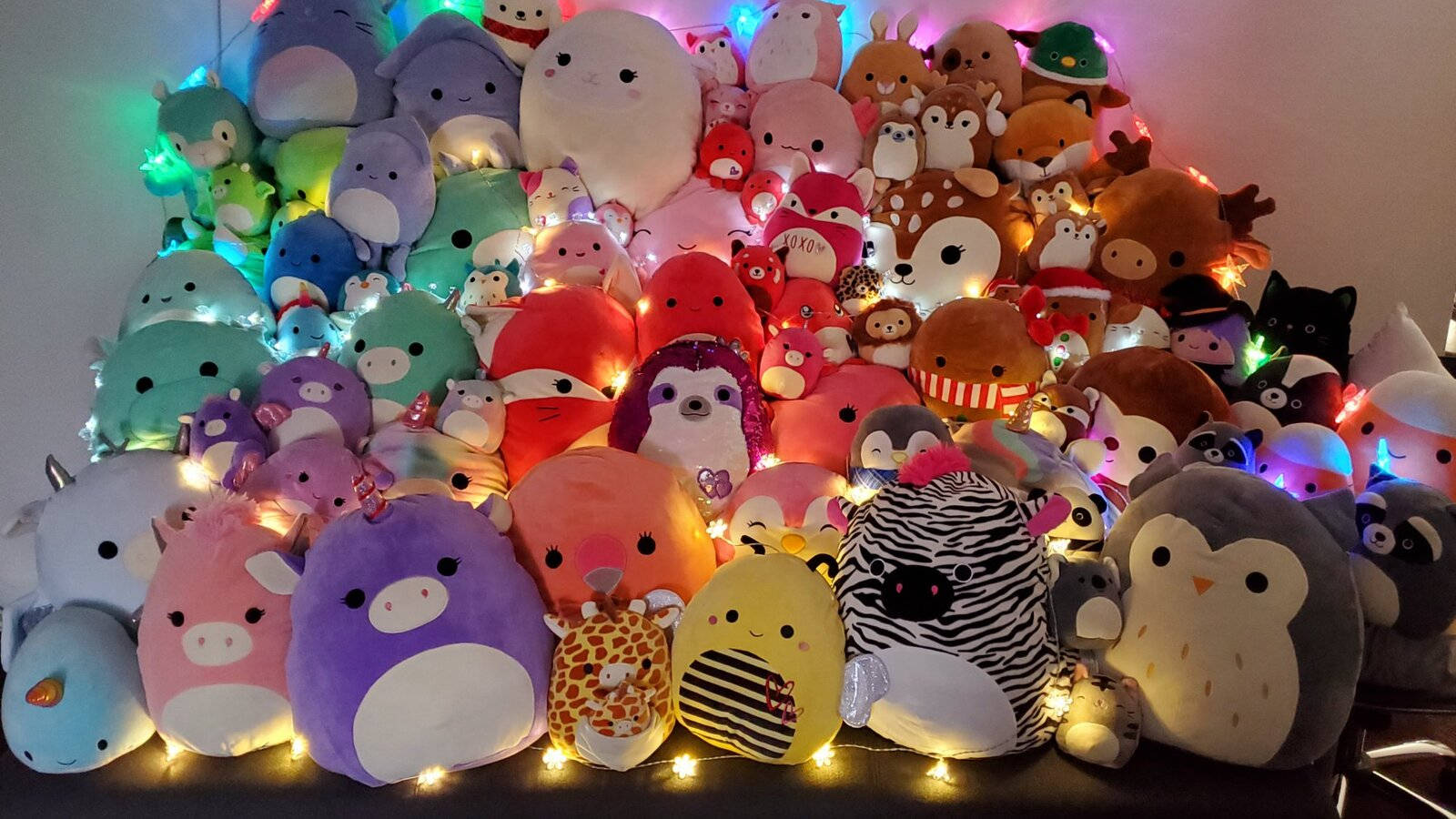 Squishmallows, colorful plush toys, warm string lights, HD Desktop Wallpaper