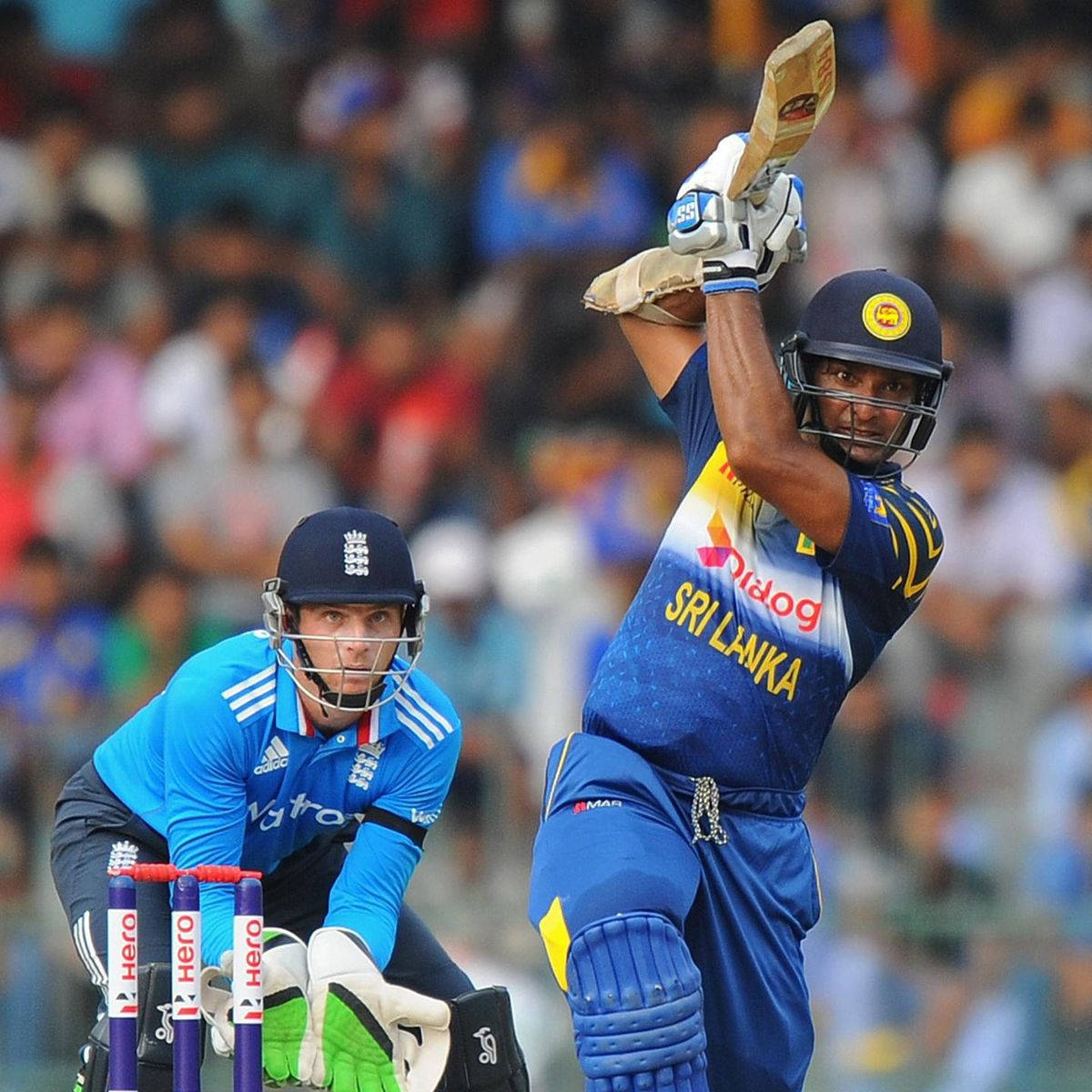 Sri Lanka Cricket, cricket batsman, blue, SD Desktop Wallpaper