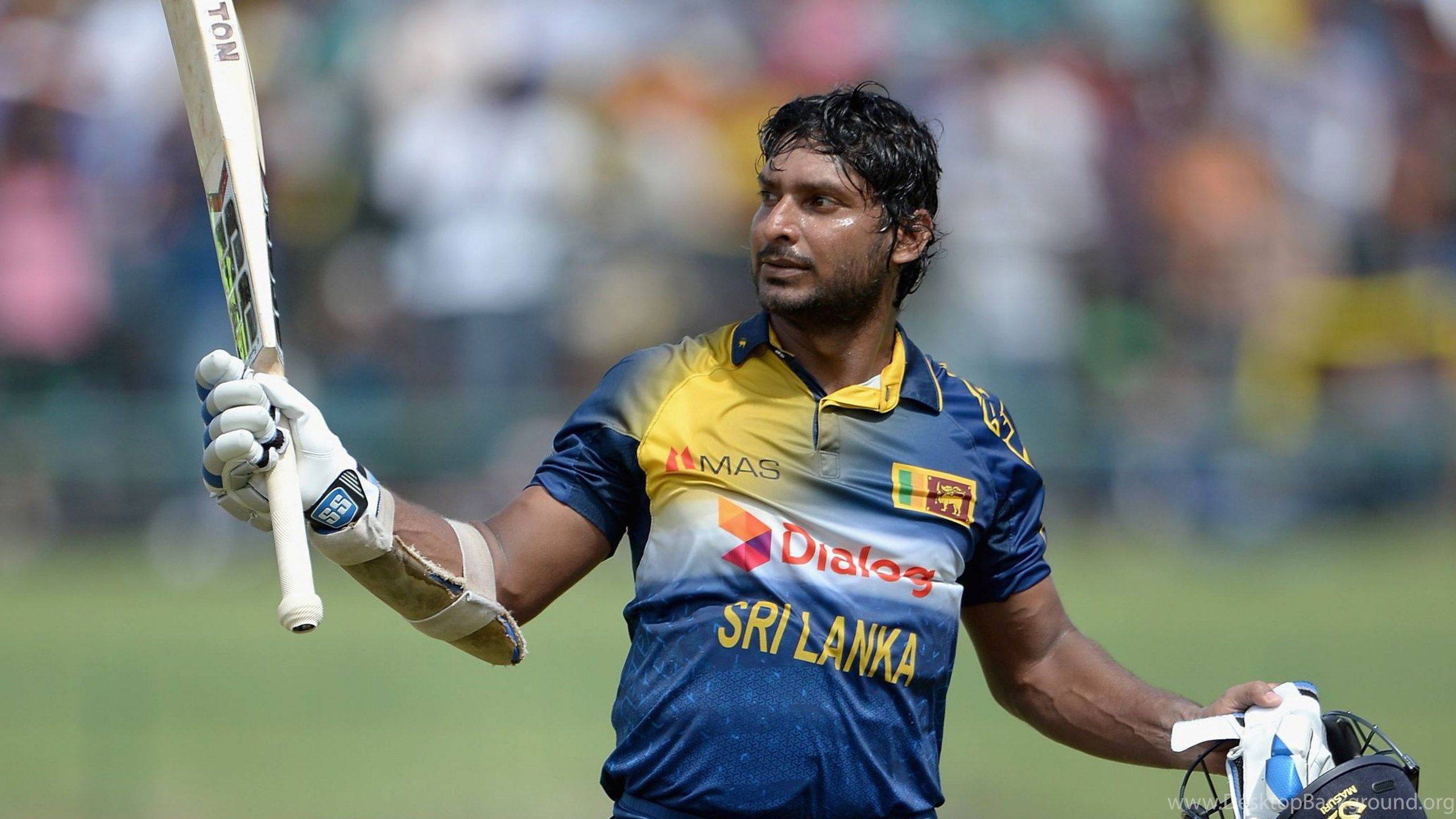 Sri Lanka Cricket, cricketer, bat, 2K Desktop Wallpaper
