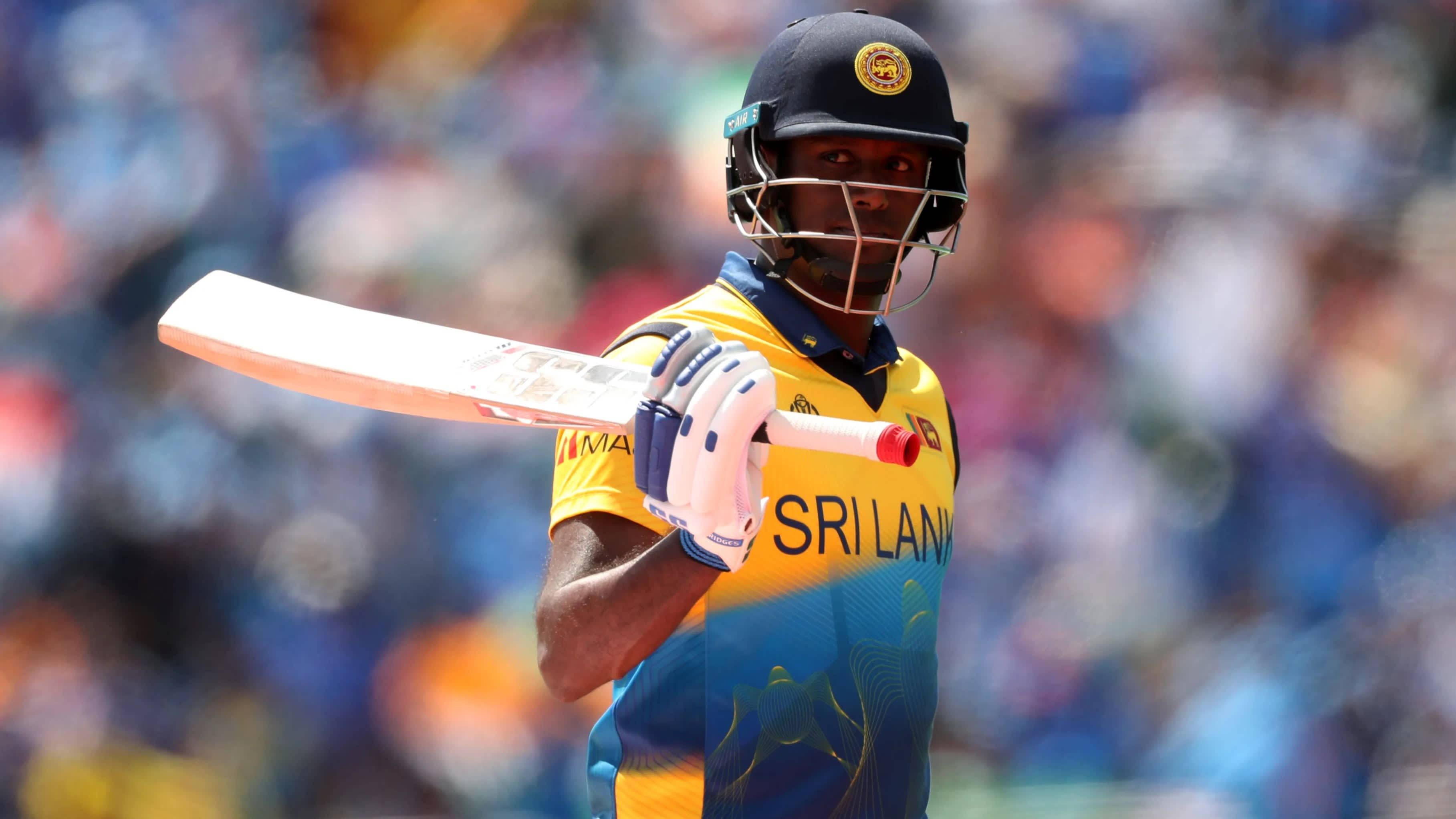 Sri Lanka Cricket, yellow and blue uniform, bat, 2K Desktop Wallpaper
