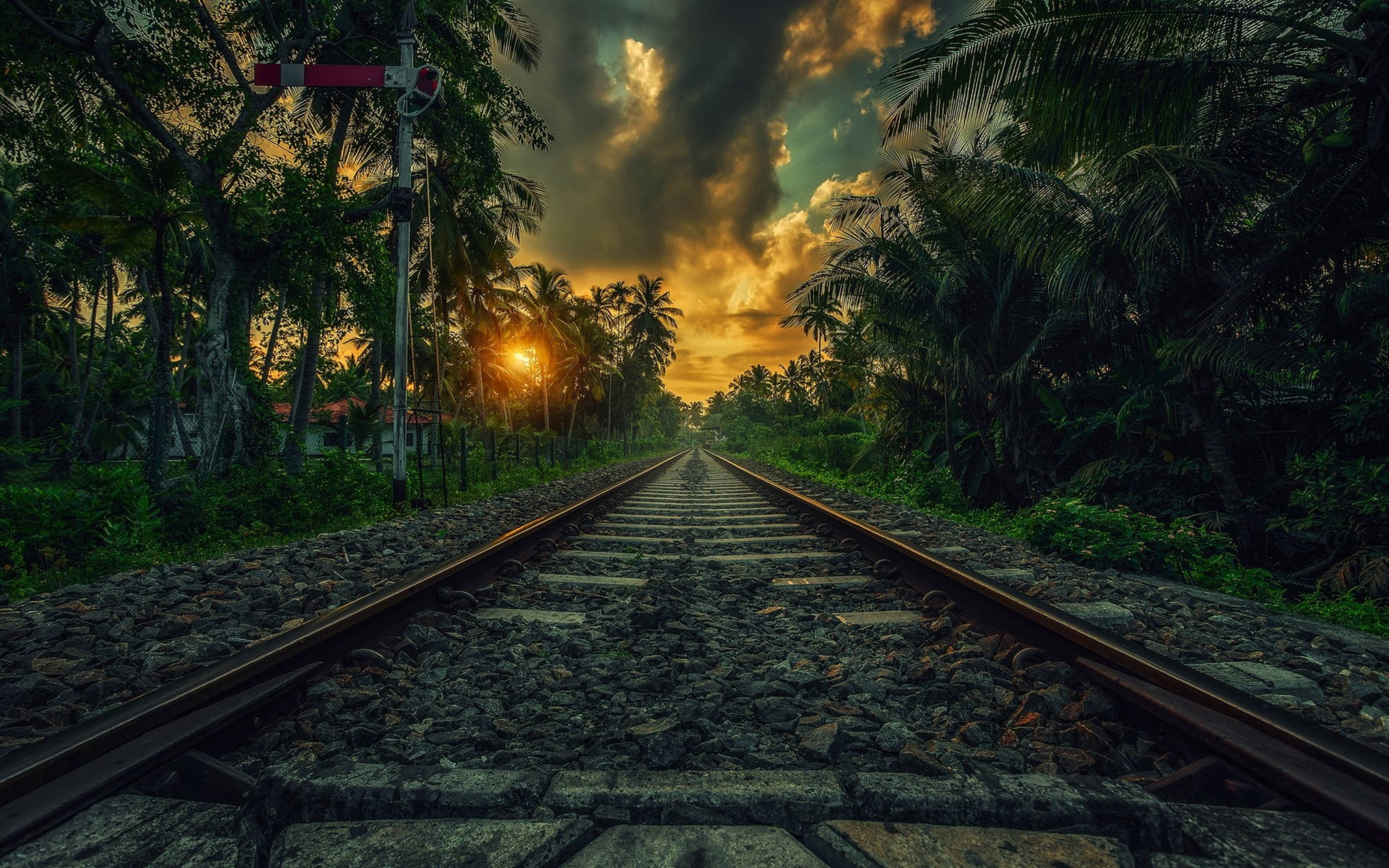 Sri Lanka, railway, palms, 2K Desktop Wallpaper
