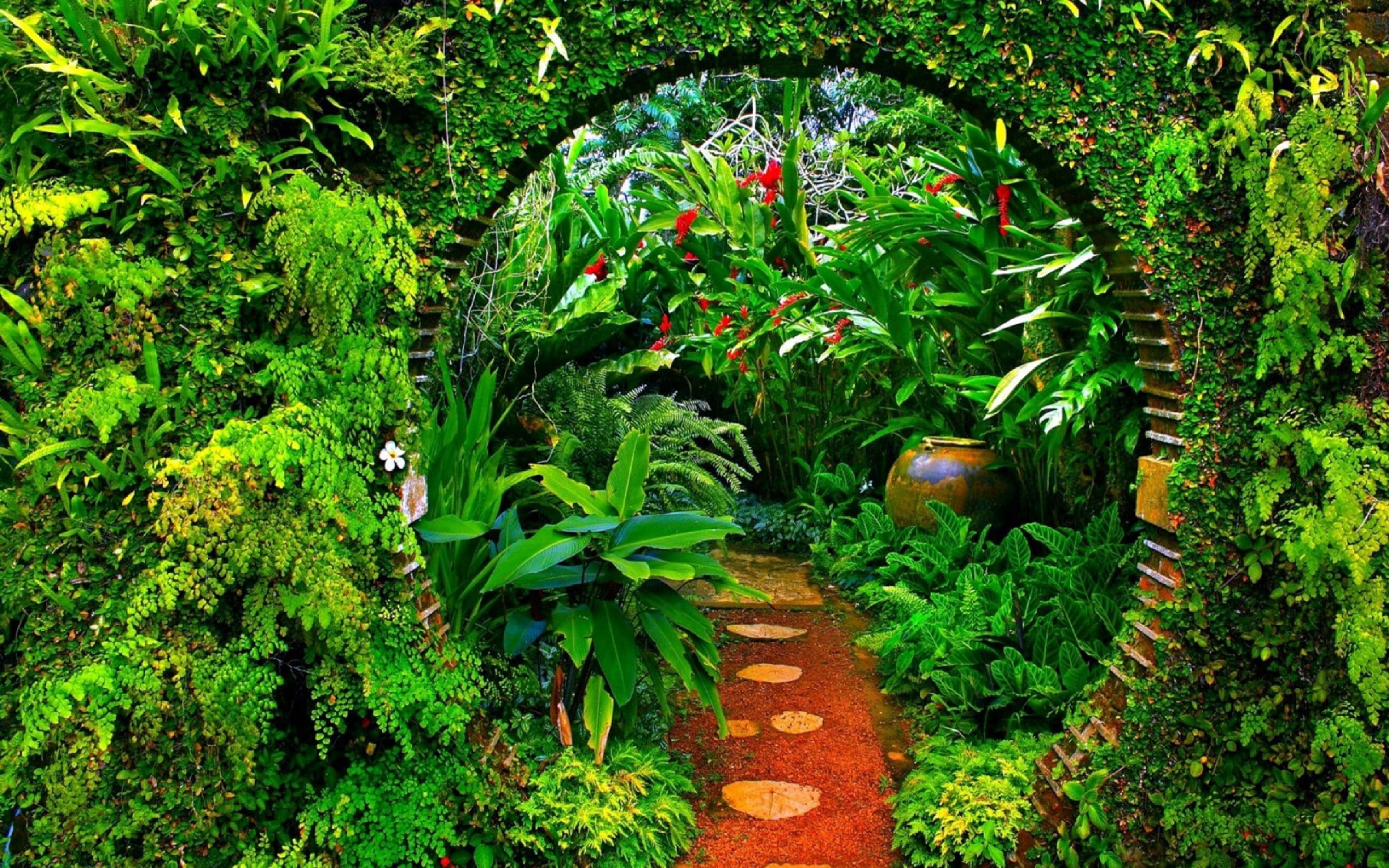 Sri Lanka, garden path, red stone tiles, 4K Desktop Wallpaper