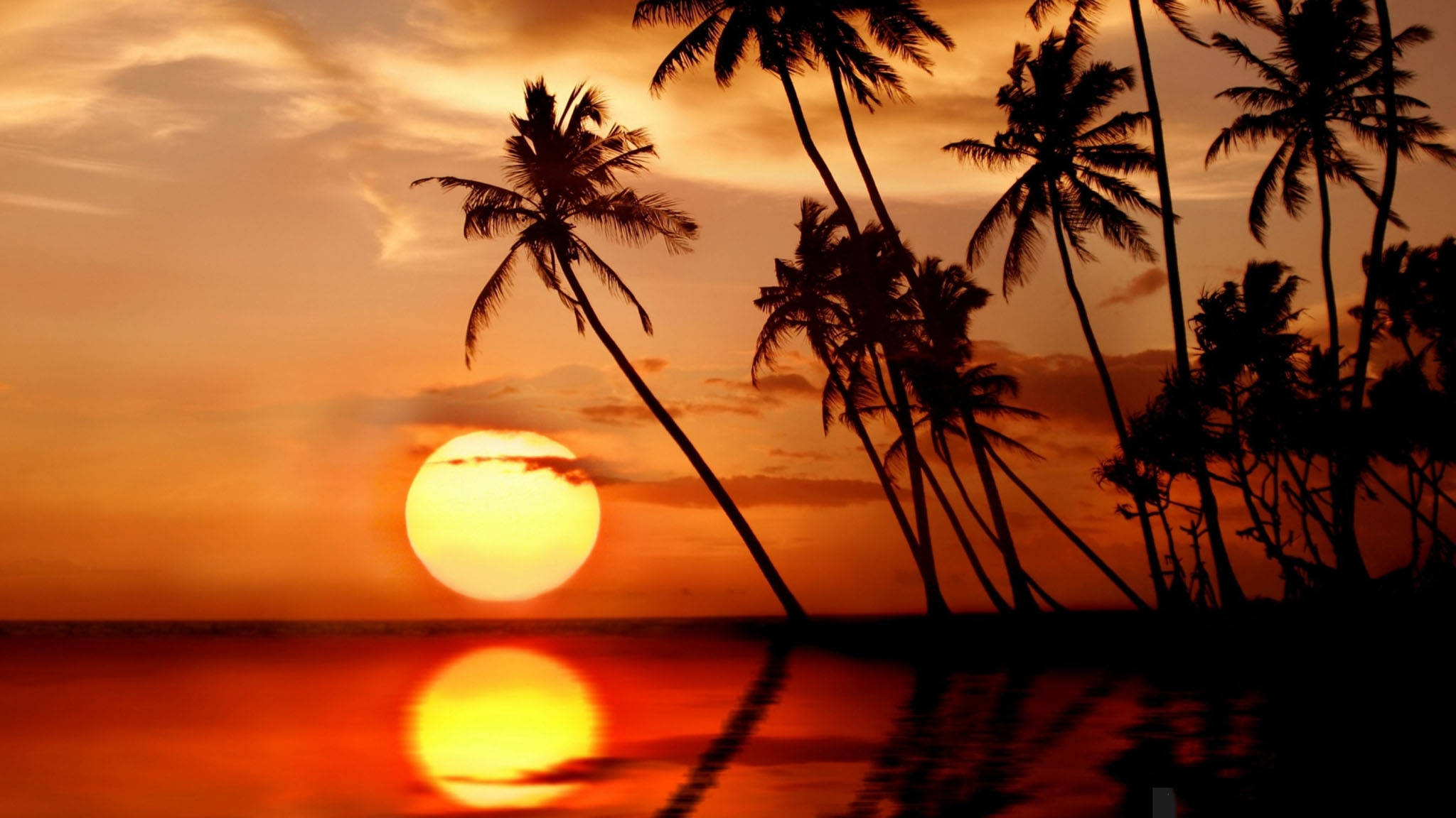 Sri Lanka, sunset, glowing sun, Full HD Desktop Wallpaper