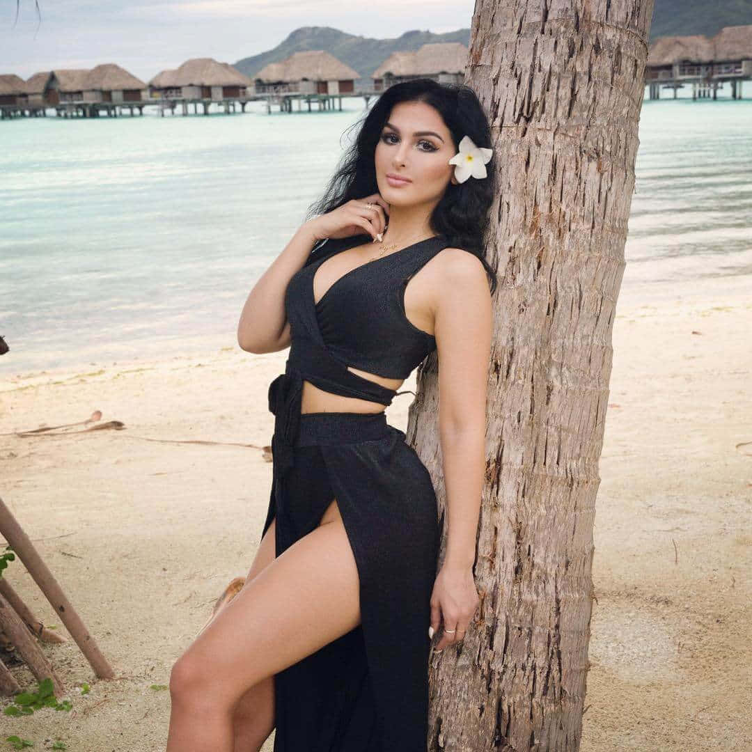 Sssniperwolf, black dress, palm tree, SD Desktop Wallpaper