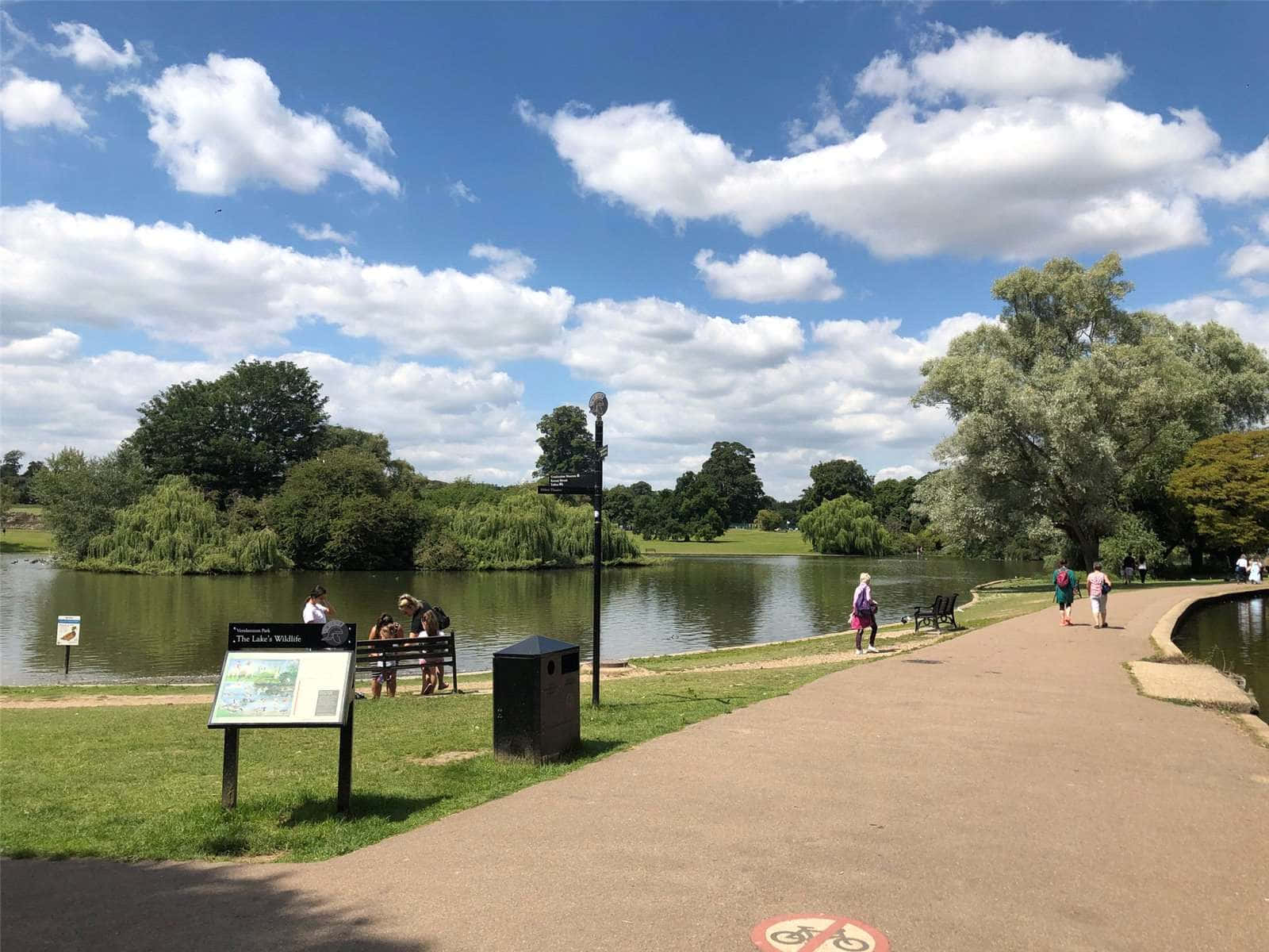 St Albans, United Kingdom, park, HD Desktop Wallpaper