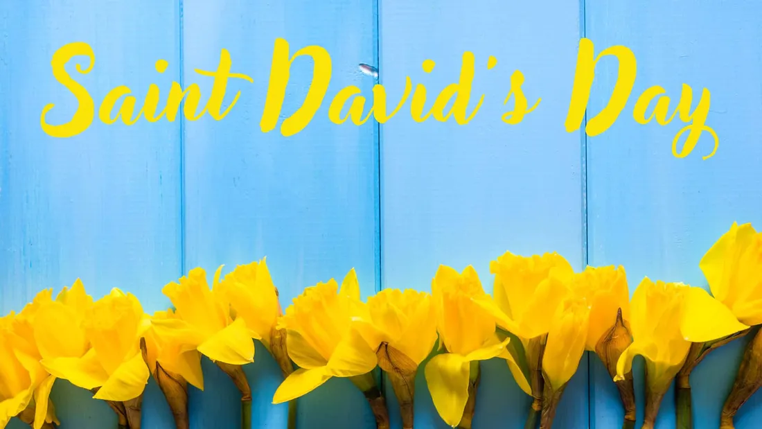 St David's Day