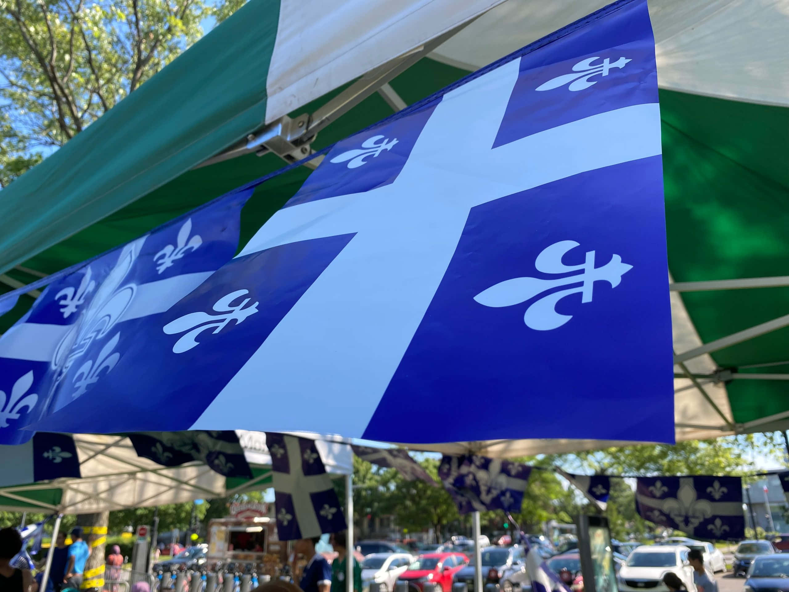 fleur-de-lis, blue and white, green canopy, 2K Desktop Wallpaper