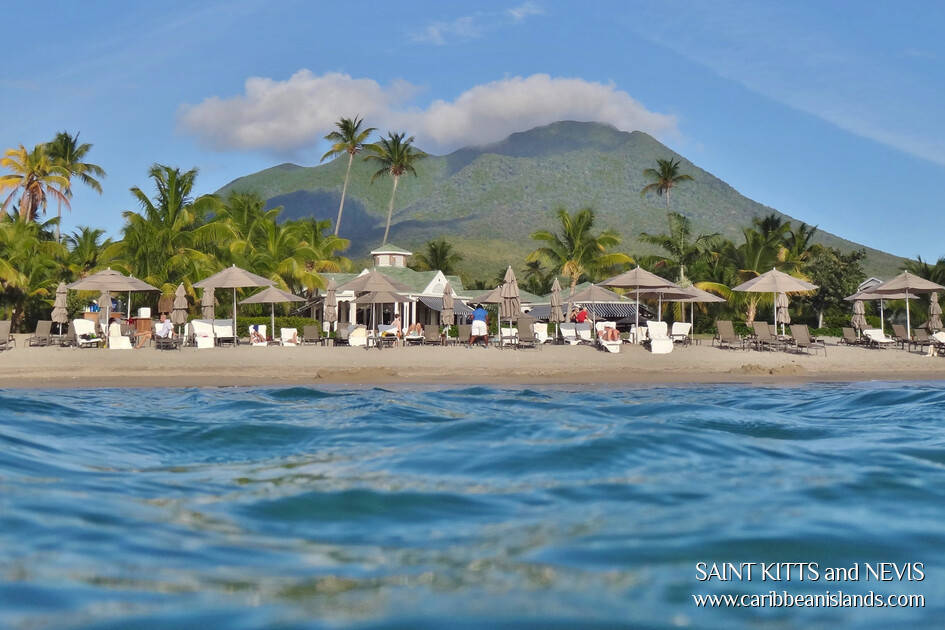 St Kitts And Nevis, tropical beach, palm trees, SD Desktop Wallpaper