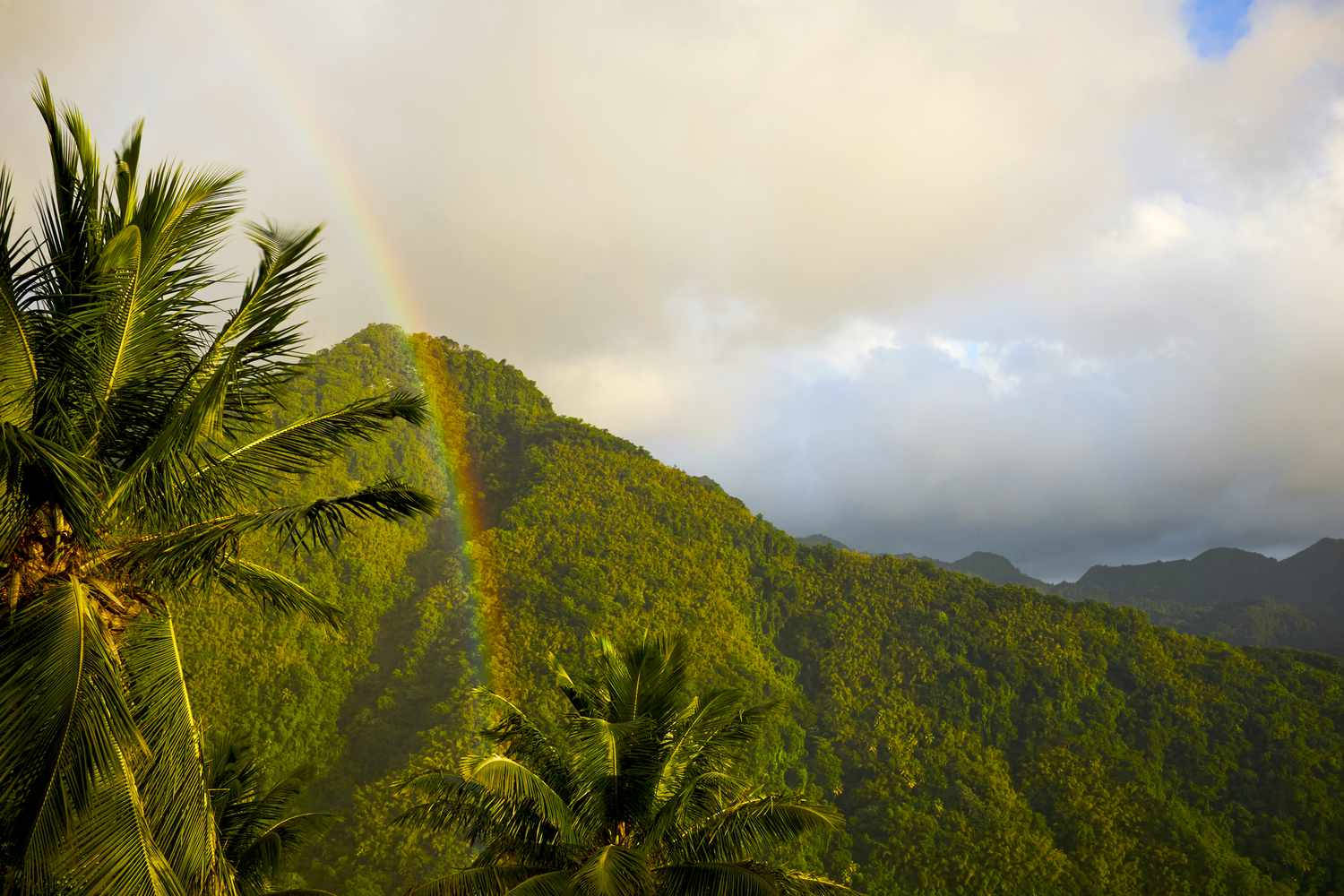 rainbow, St Lucia, lush green mountains, HD Desktop Wallpaper
