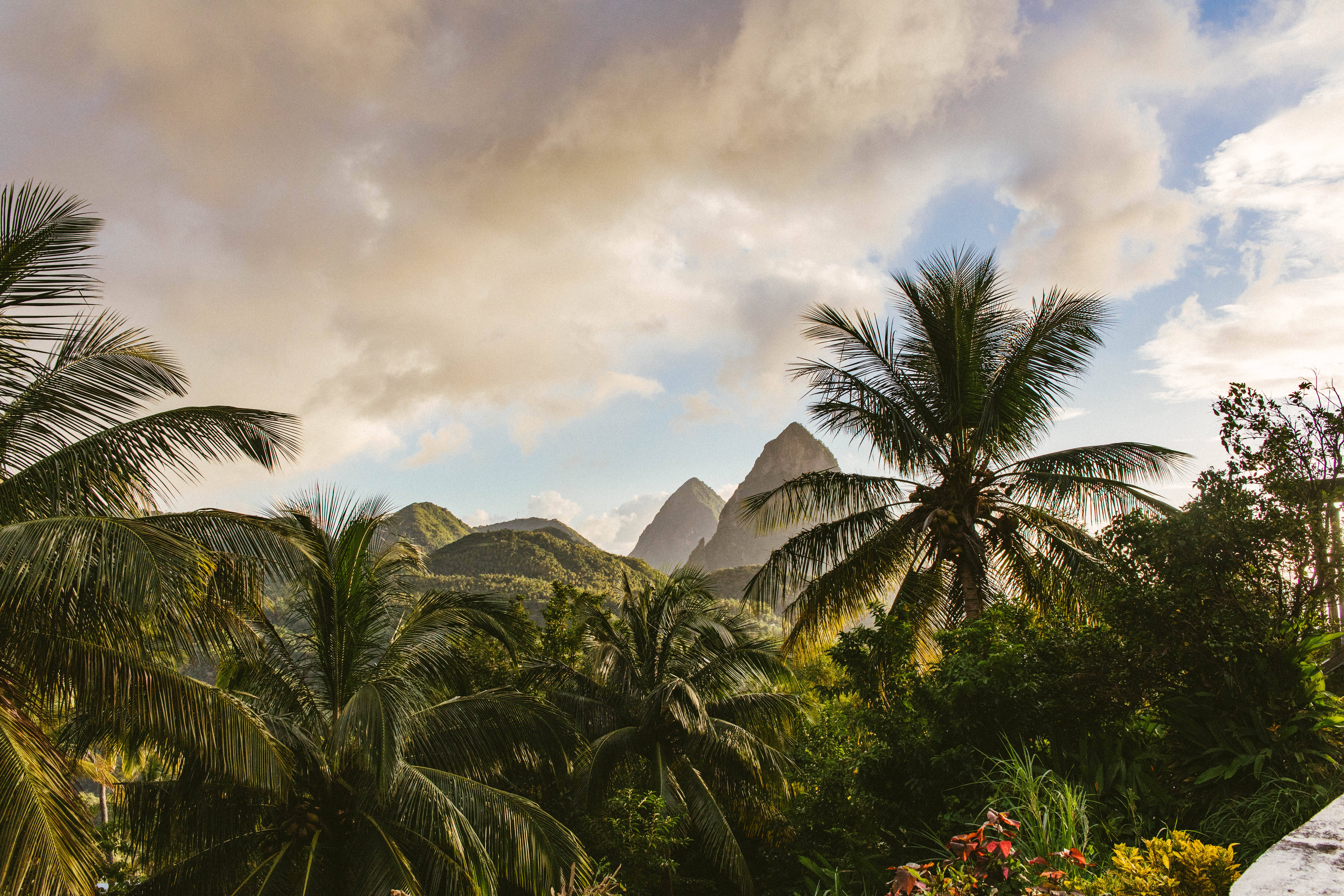 St Lucia, peaks, palm trees, 5K Desktop Wallpaper