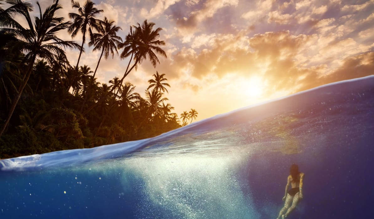St Lucia, sunlit wave, palm trees, SD Desktop Wallpaper
