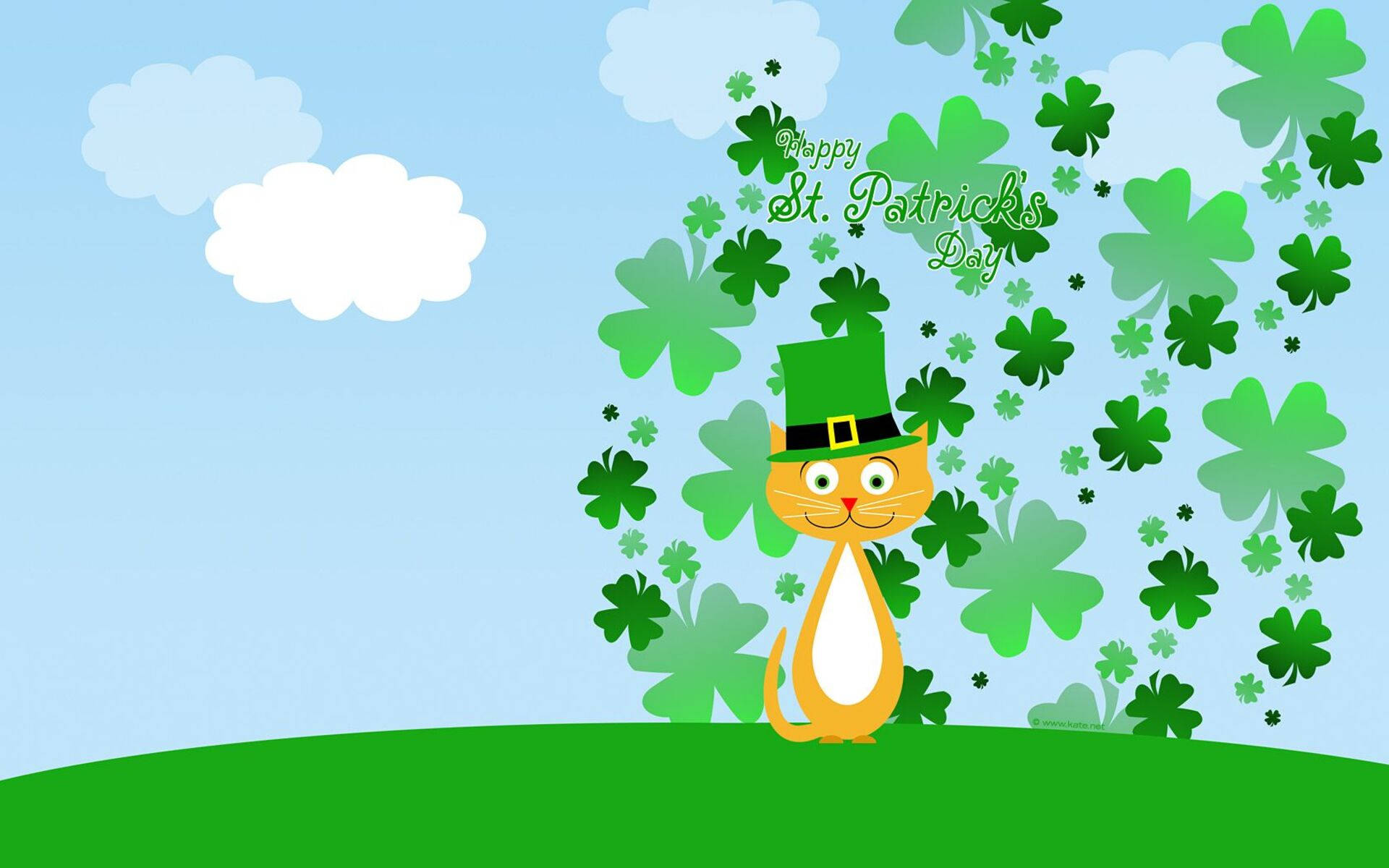 ginger cat, green hat, shamrocks, Full HD Desktop Wallpaper