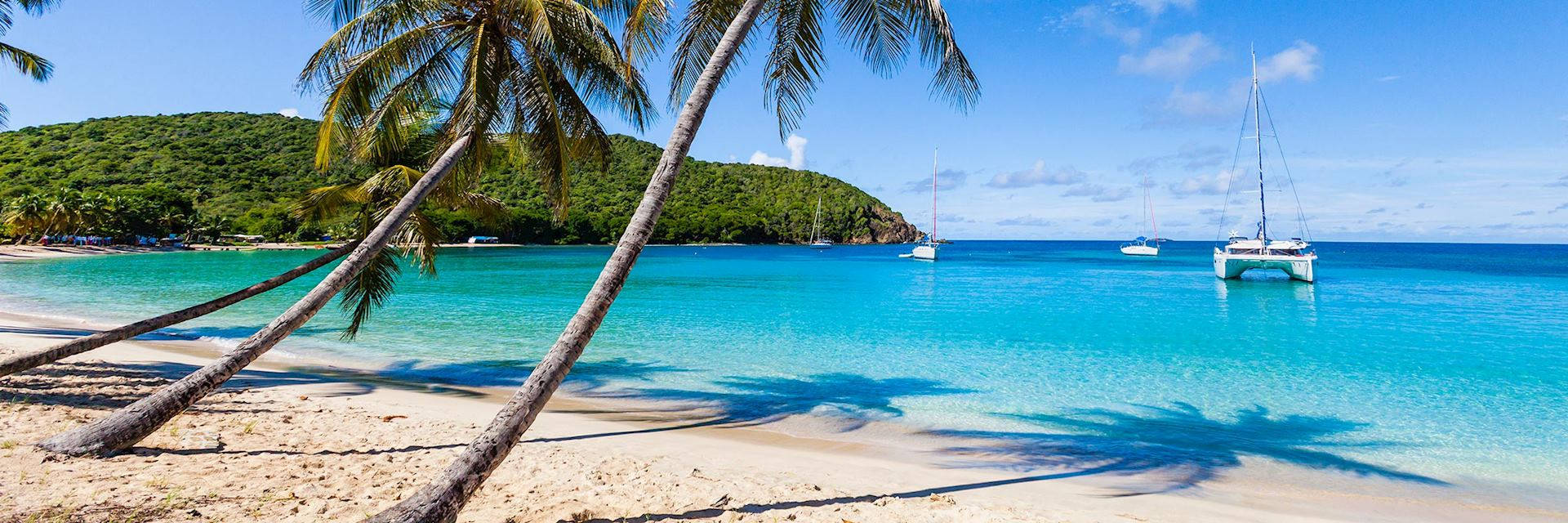 St Vincent And The Grenadines, leaning coconut trees, tropical beach, Full HD Desktop Wallpaper