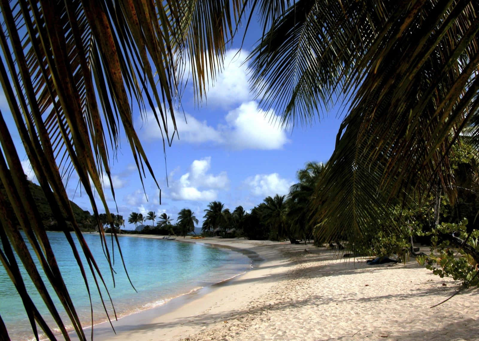 tropical beach paradise, St Vincent And Grenadines, palm fronds, HD Desktop Wallpaper