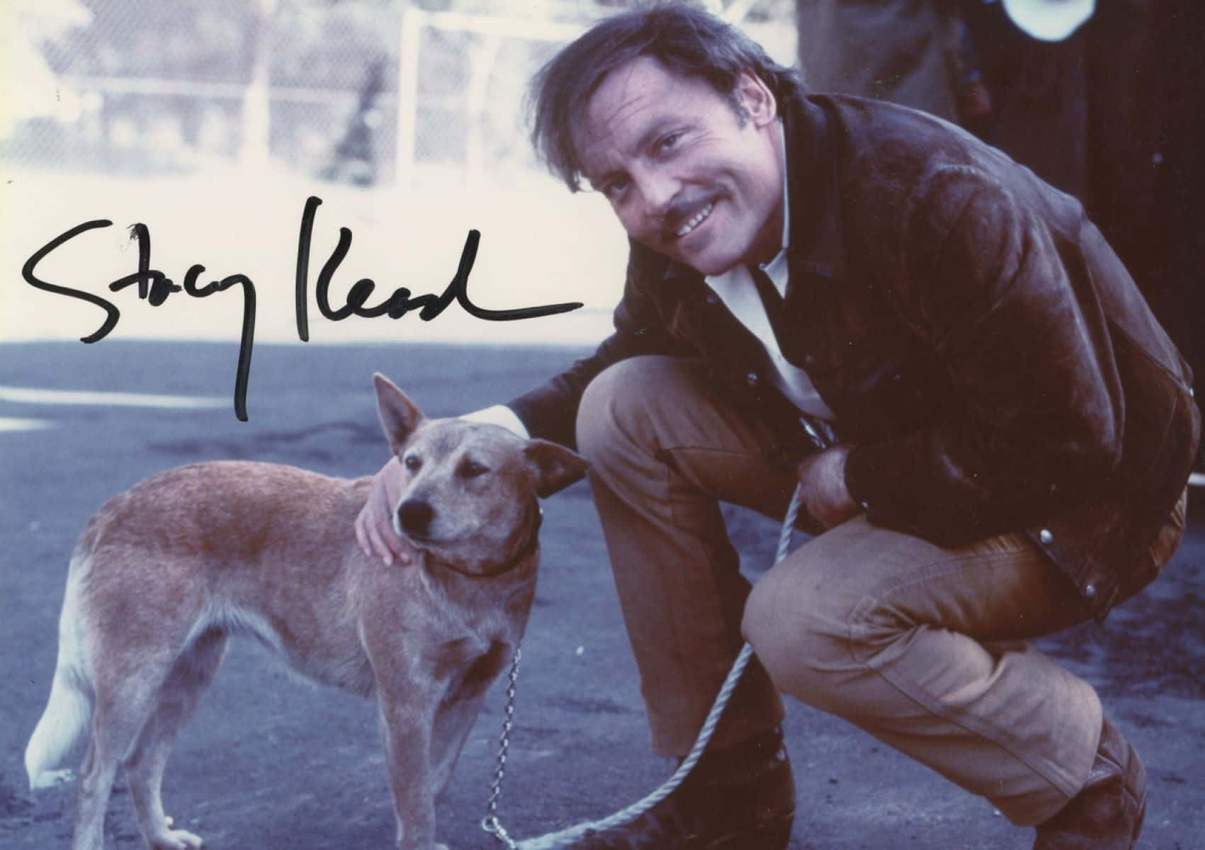 Stacy Keach, leather jacket, tan dog, HD Desktop Wallpaper