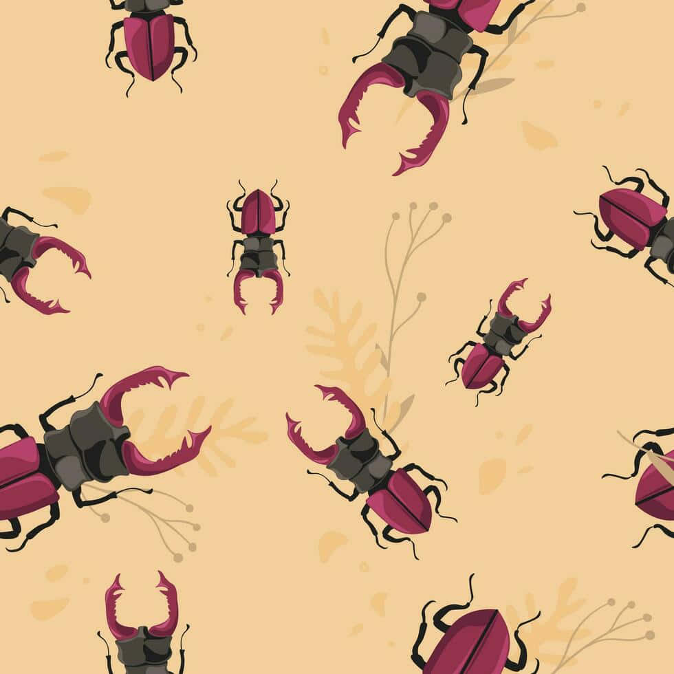Stag Beetle, purple, black, SD Desktop Wallpaper