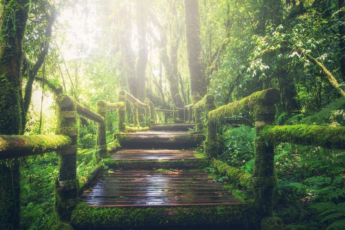 Stairway To Heaven