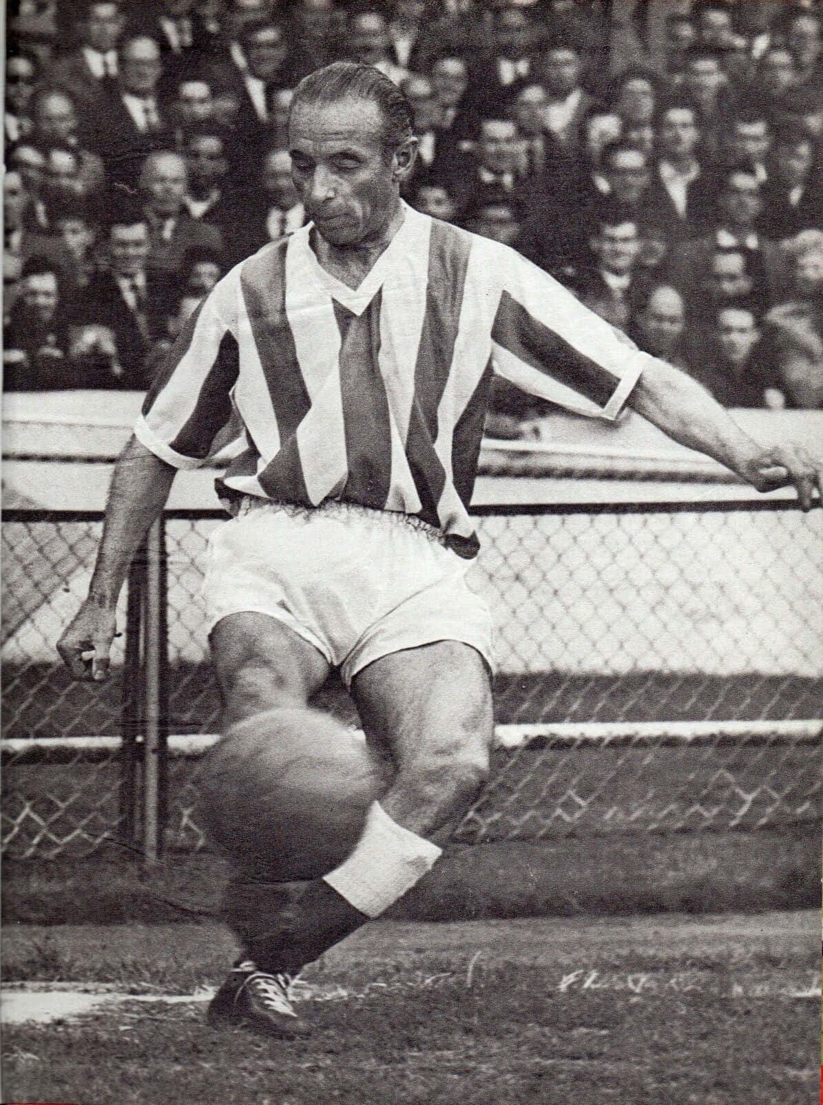 Stanley Matthews, striped jersey, grass field, HD Phone Wallpaper