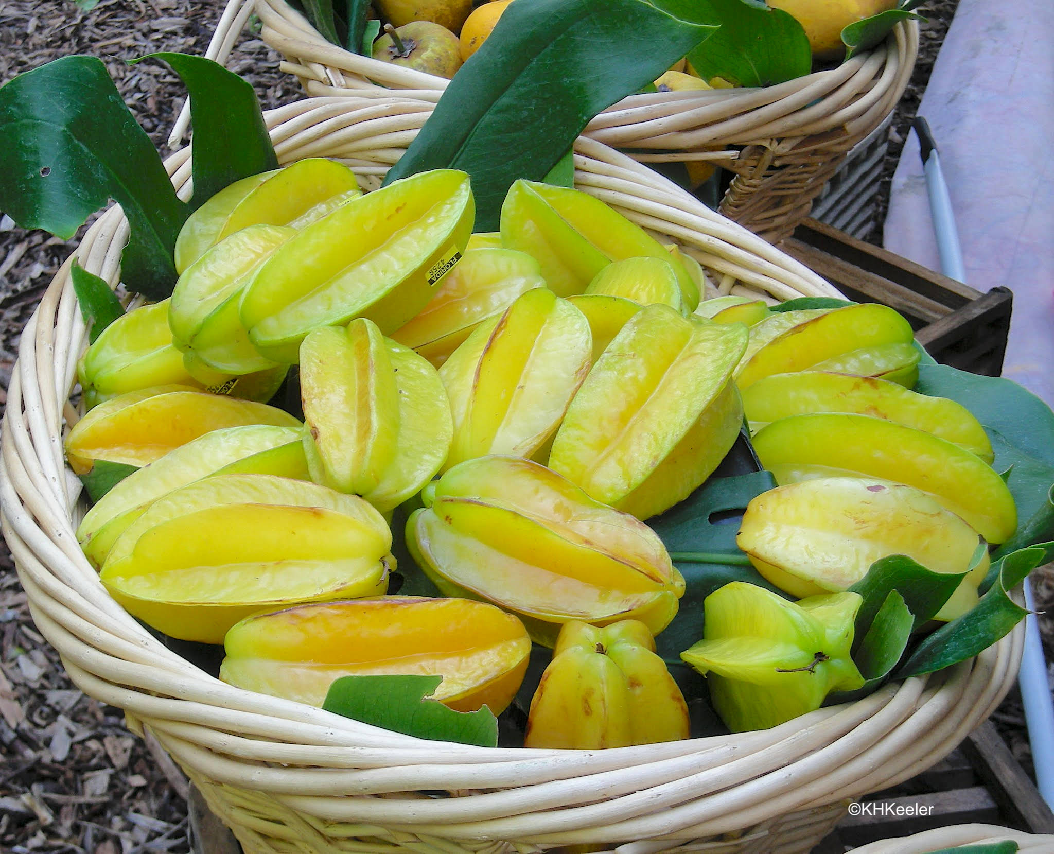 Star Fruit, basket, vibrant yellow, Full HD Desktop Wallpaper
