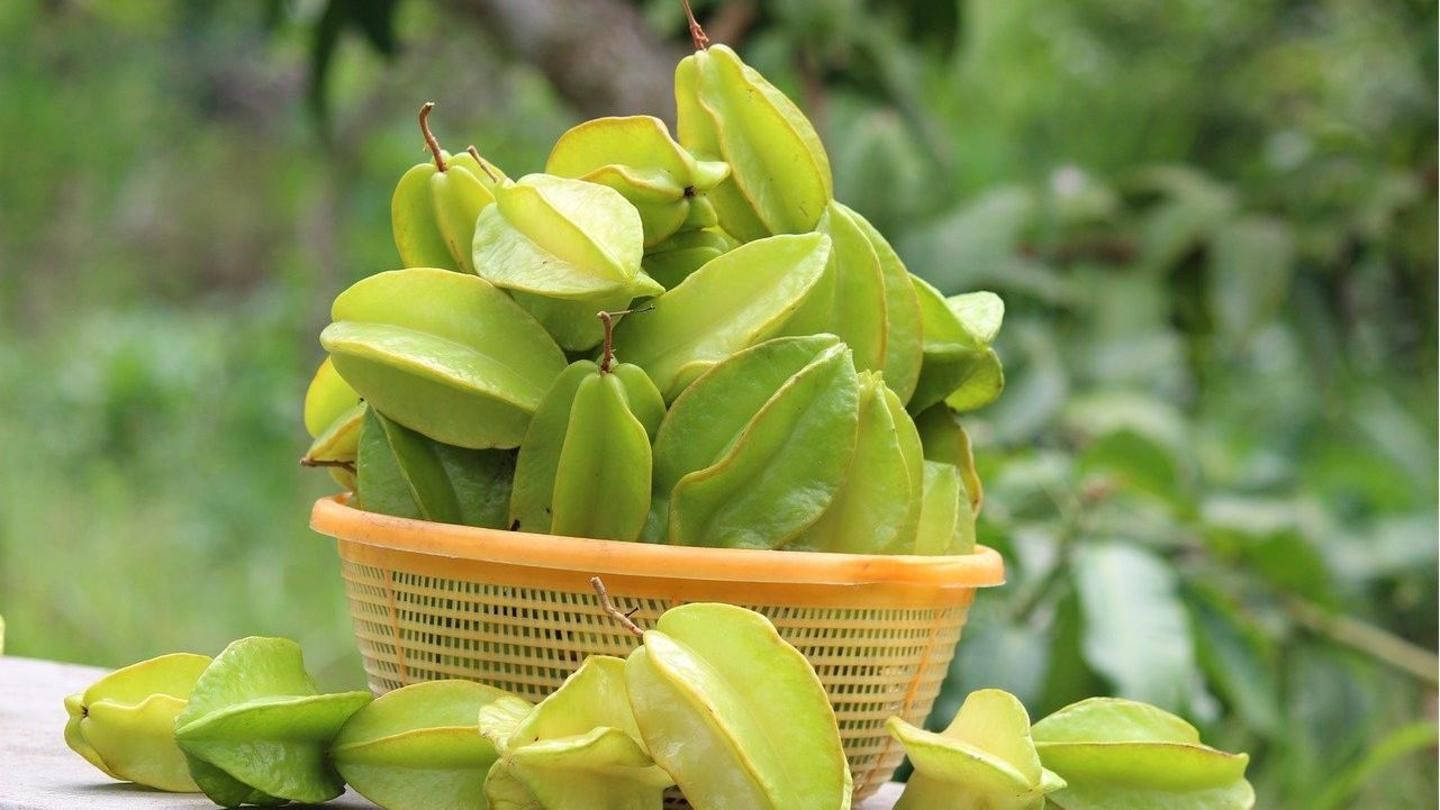 star fruits, orange basket, green starfruit, HD Desktop Wallpaper