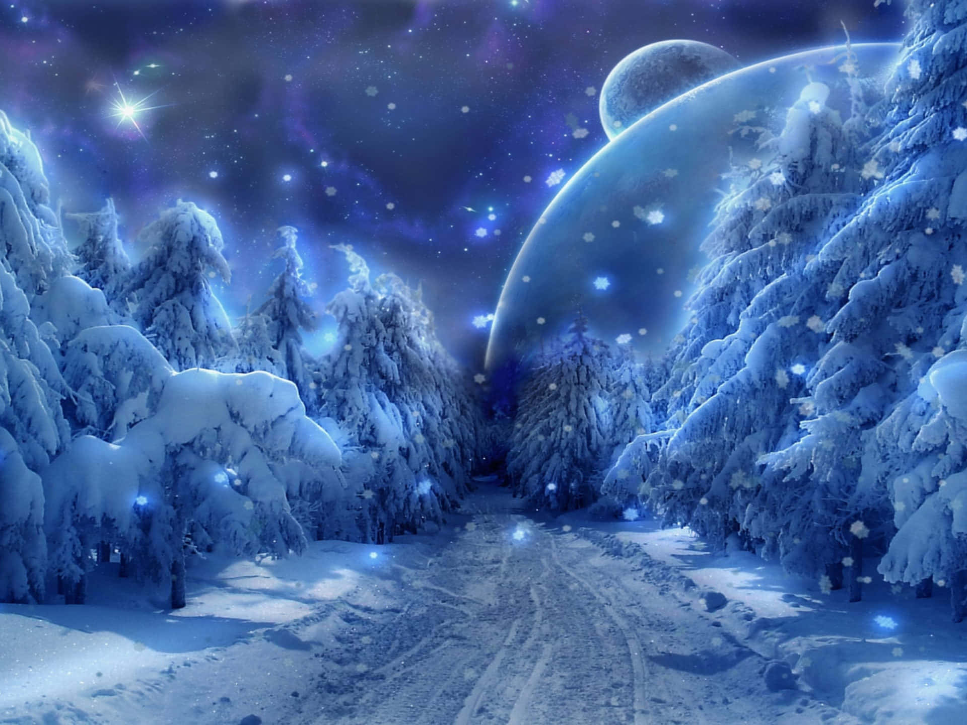 Star Sky, snowy forest, starry night sky, Full HD Desktop Wallpaper