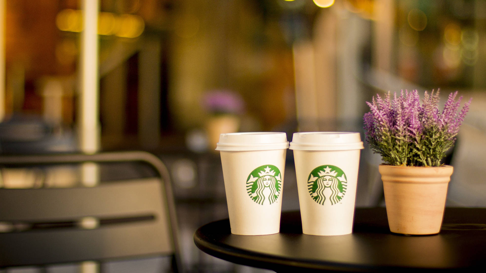 Starbucks, Styro cups, potted lavender plant, Full HD Desktop Wallpaper