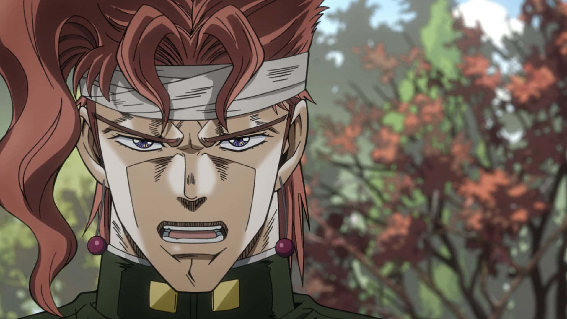 Stardust Crusaders, red hair, headband, Full HD Desktop Wallpaper