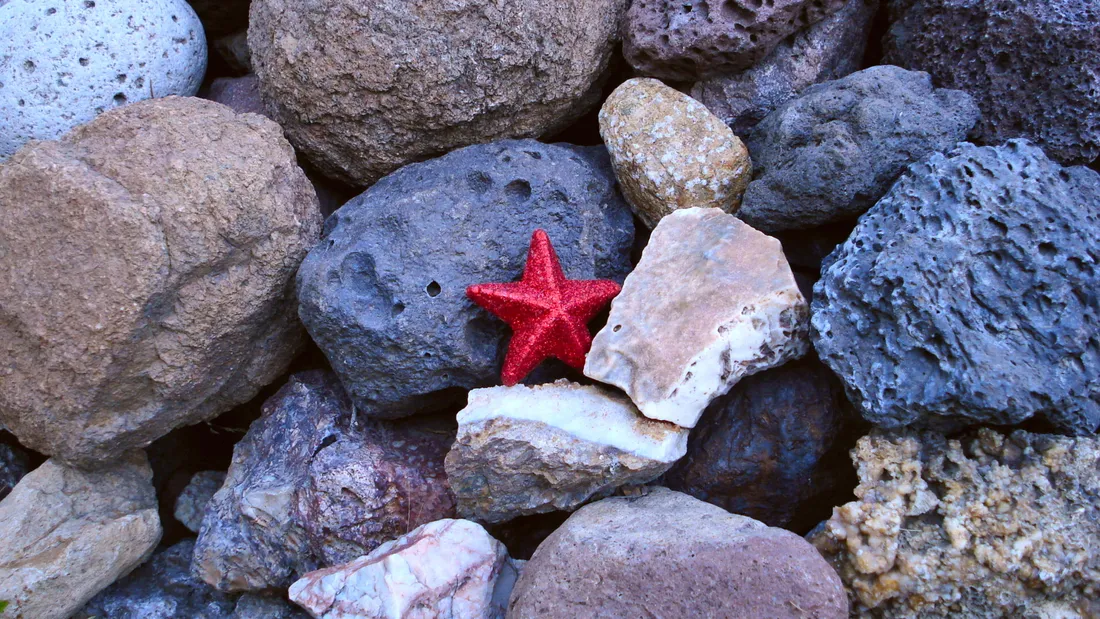 Starfish