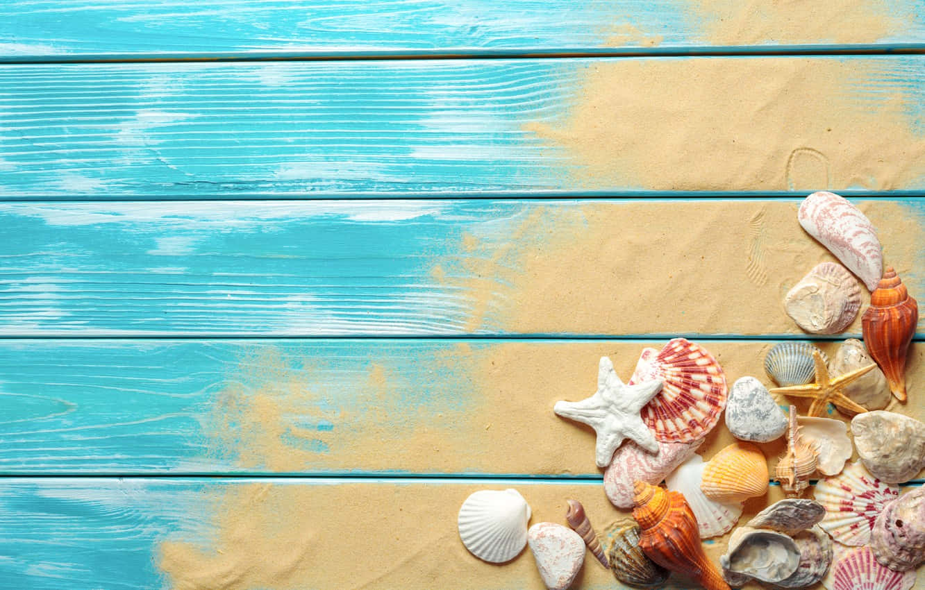 seashells, starfishes, sandy wood, HD Desktop Wallpaper