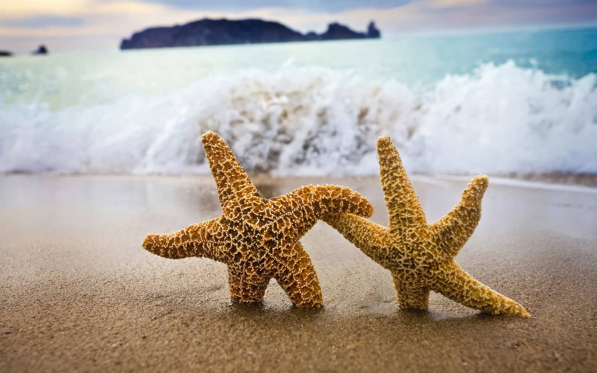 two starfish, ocean waves, wet sand, Full HD Desktop Wallpaper